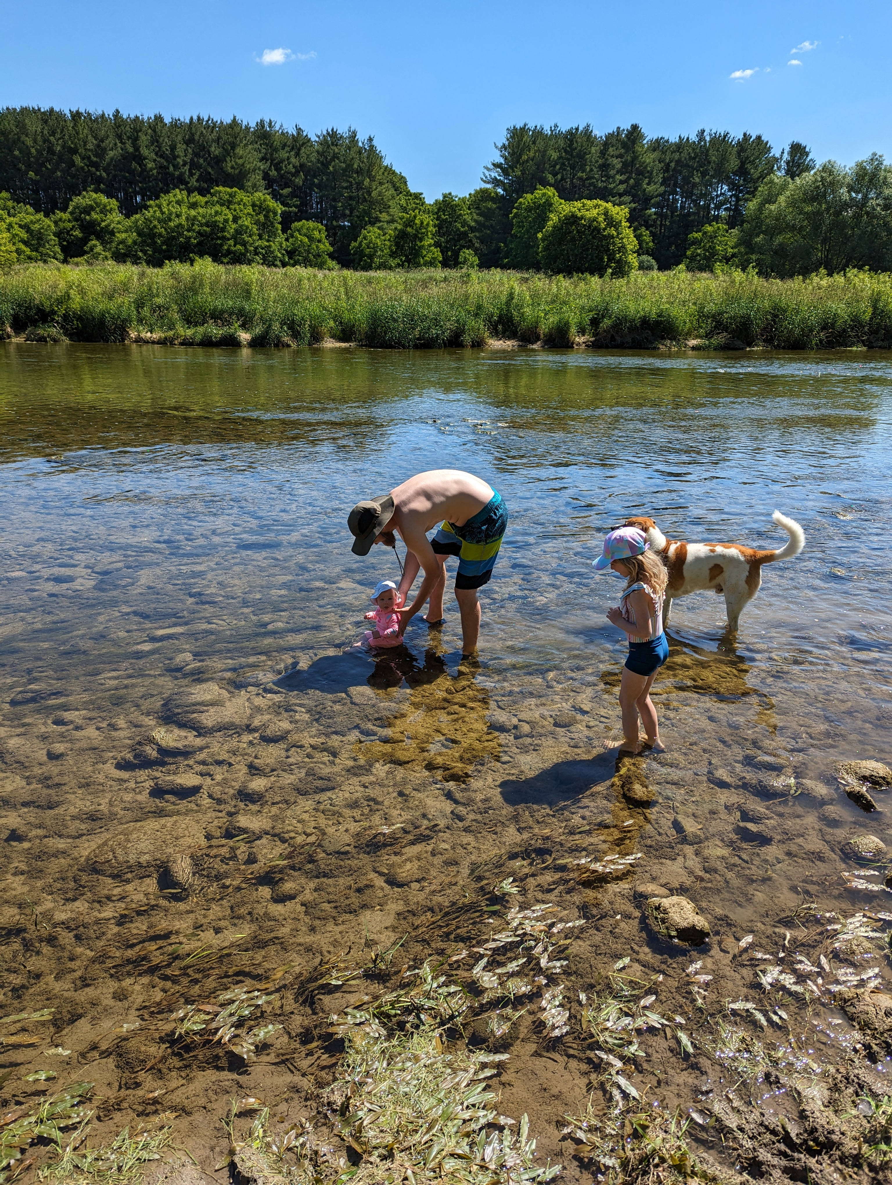 Monarch Meadows Tree Farm