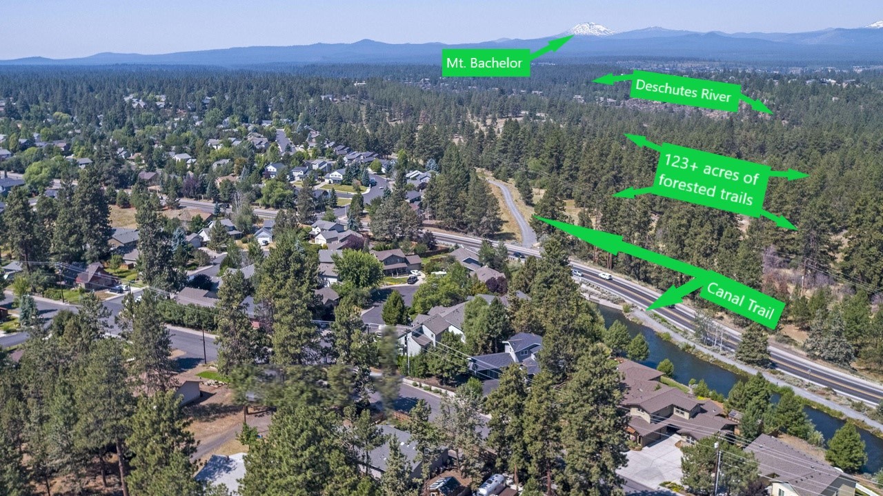 Sunny Ponderosa Camp