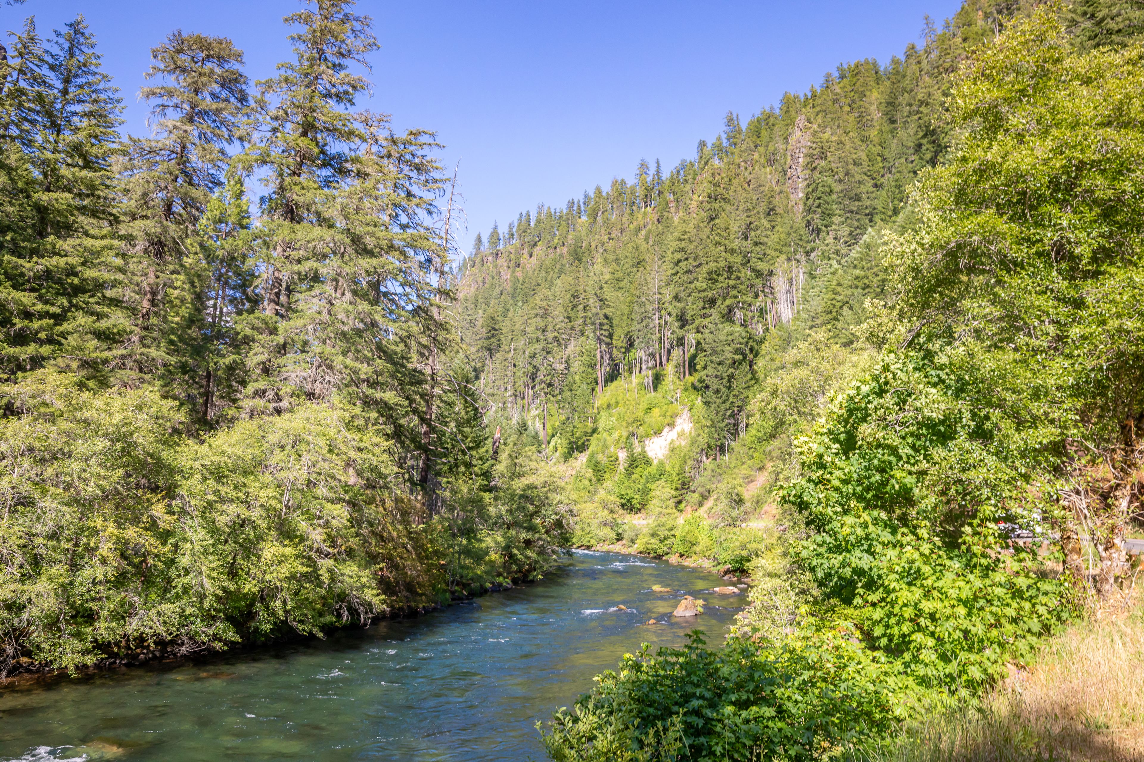 I forgot my fishing rod.....