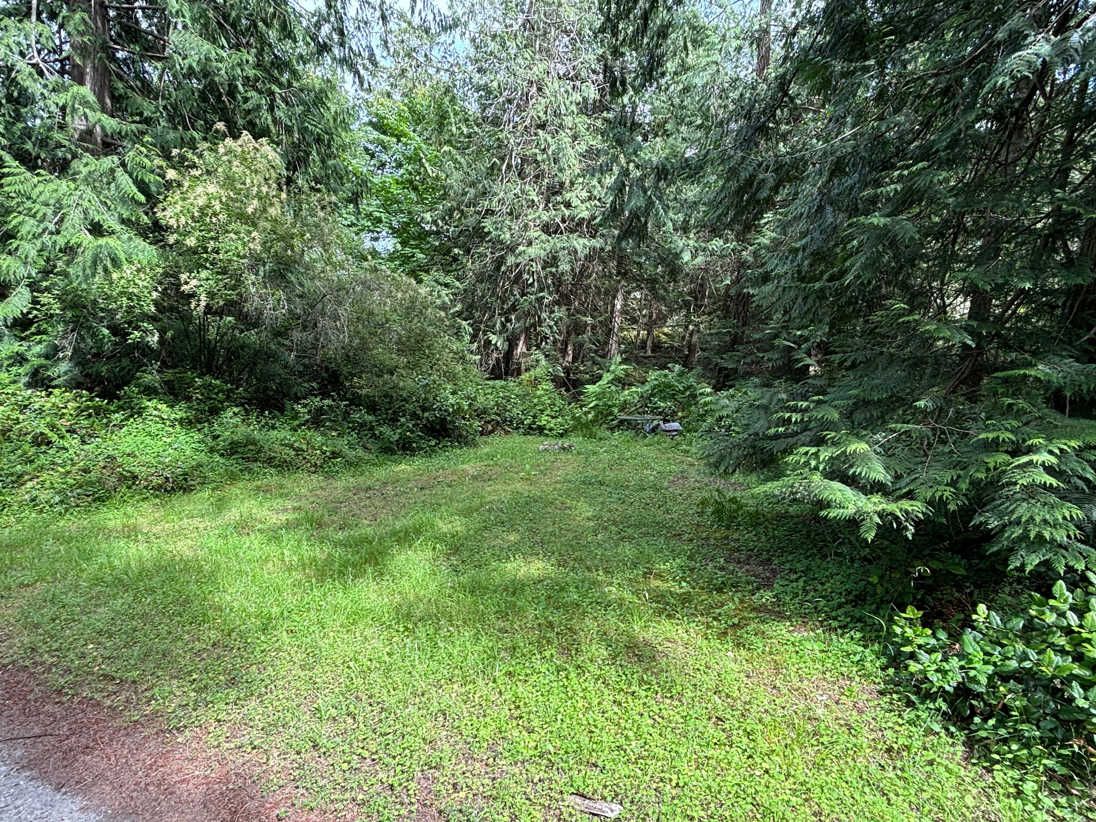 Secluded Orcas Camp