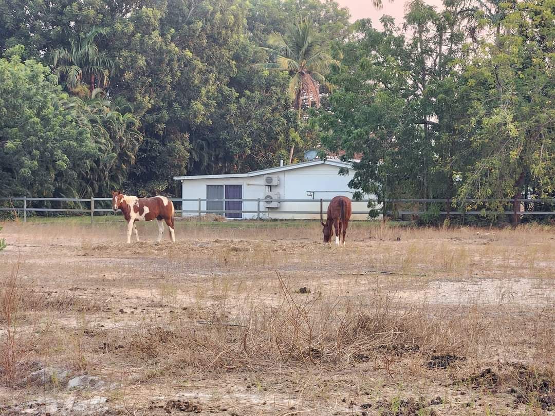 Berry Springs Park and Stay