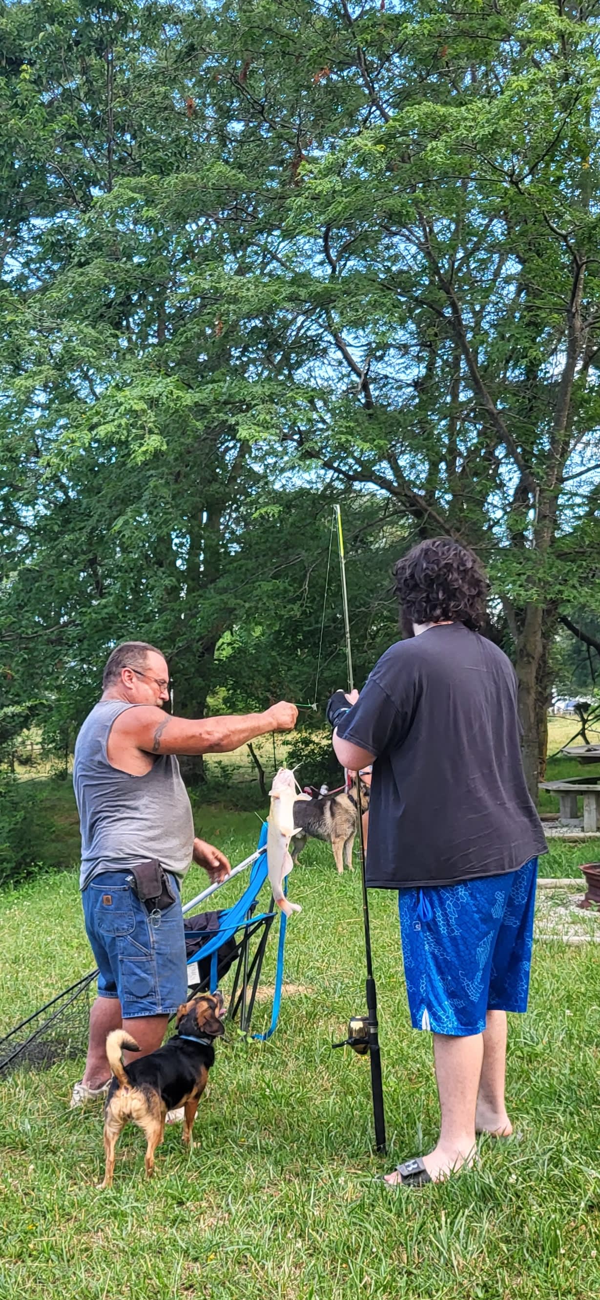 Whitetail Tent Camping