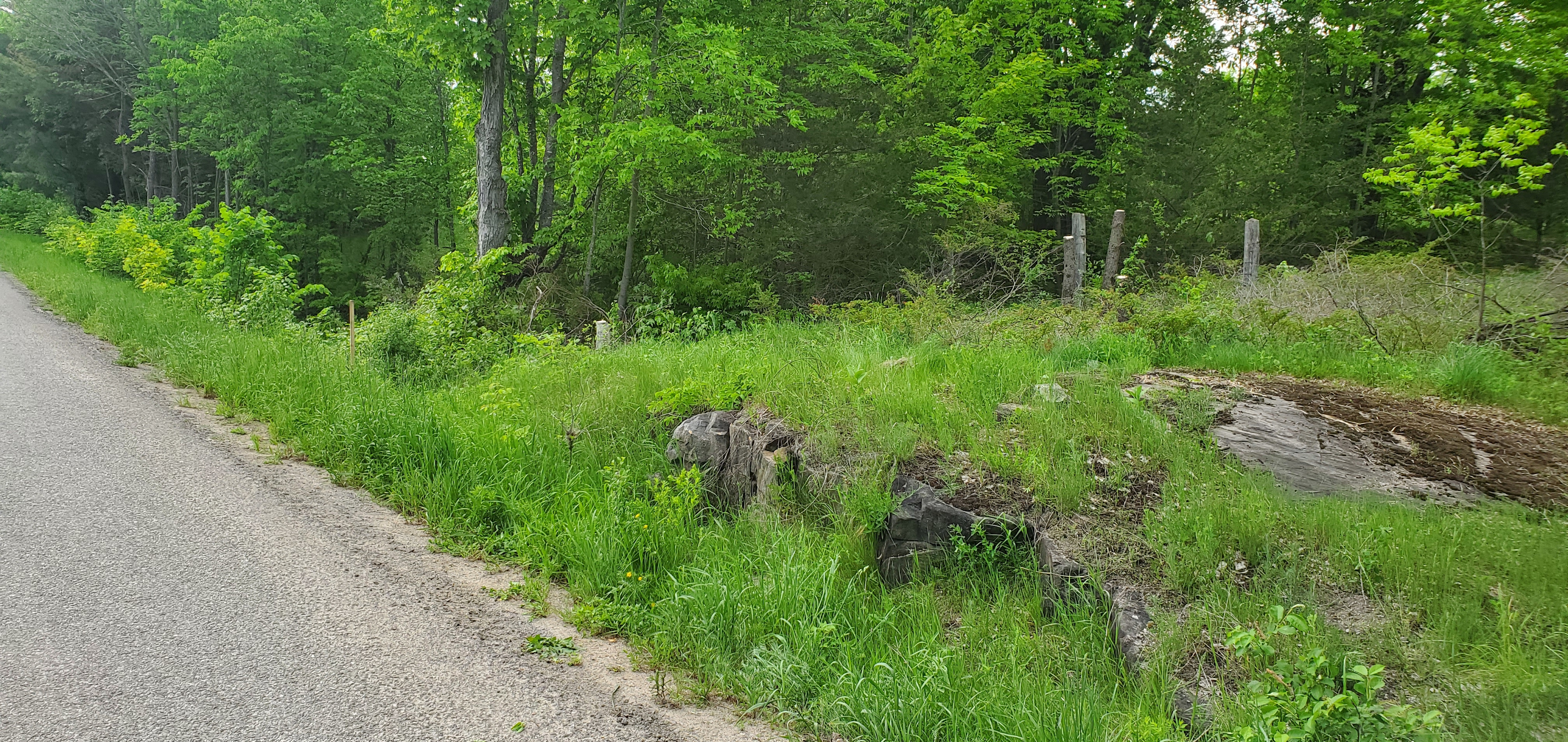 Laurentiu & Rita's Acres