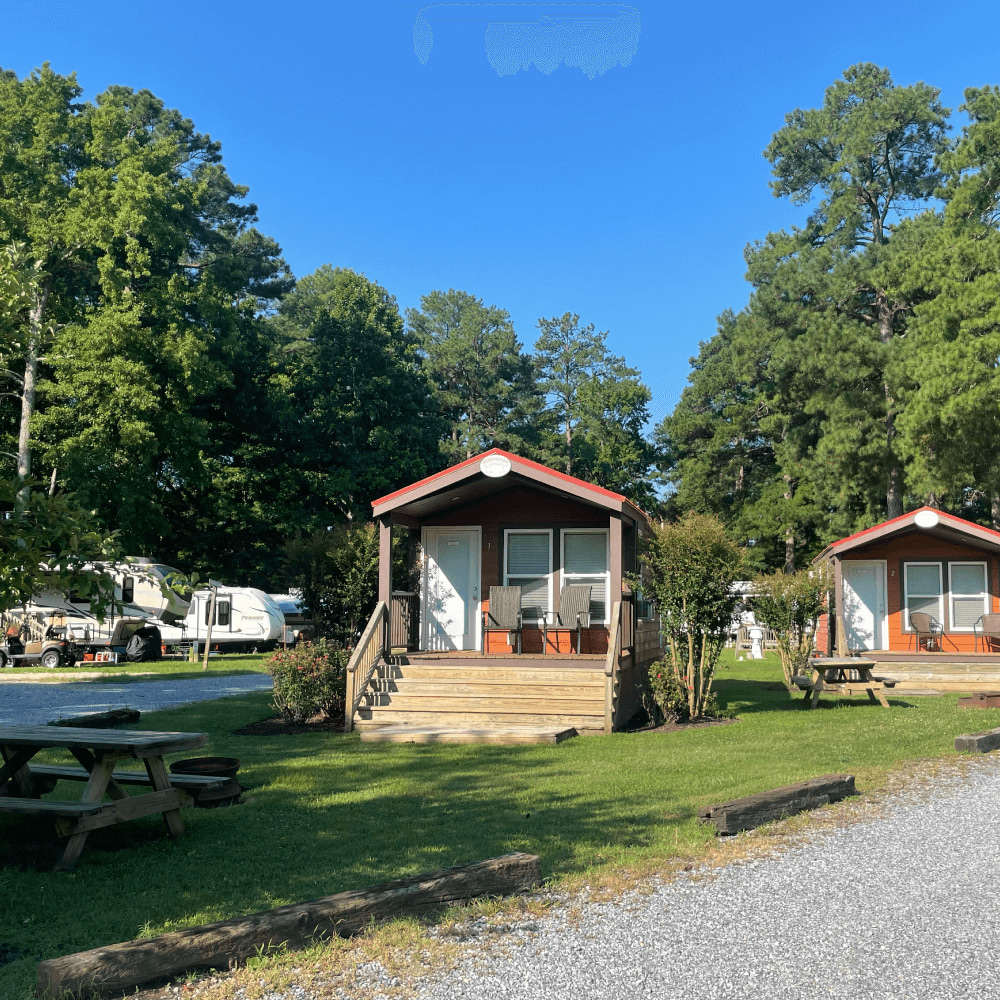 Dennis Point Marina and Campground