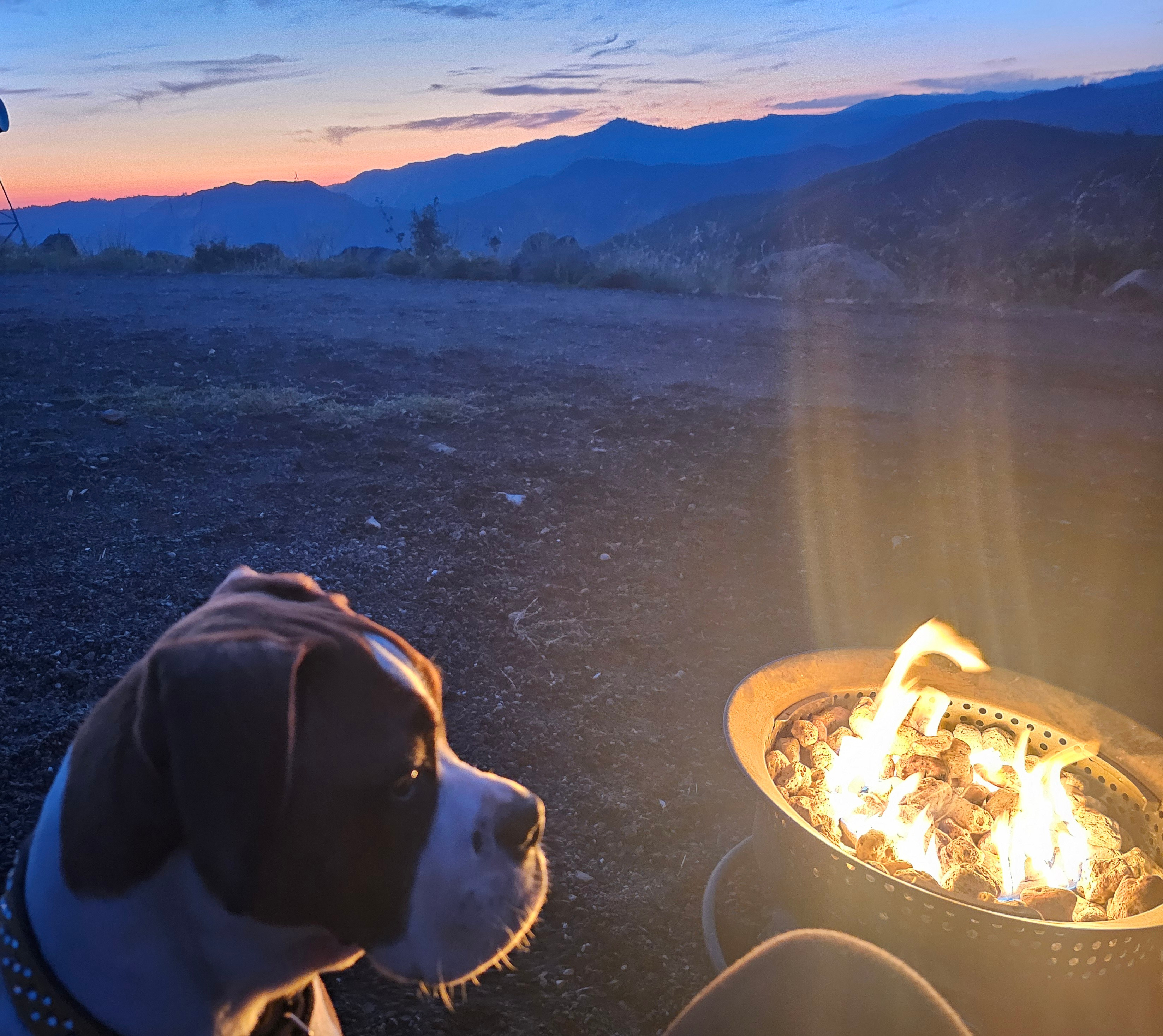 Yosemite Colfax Spring