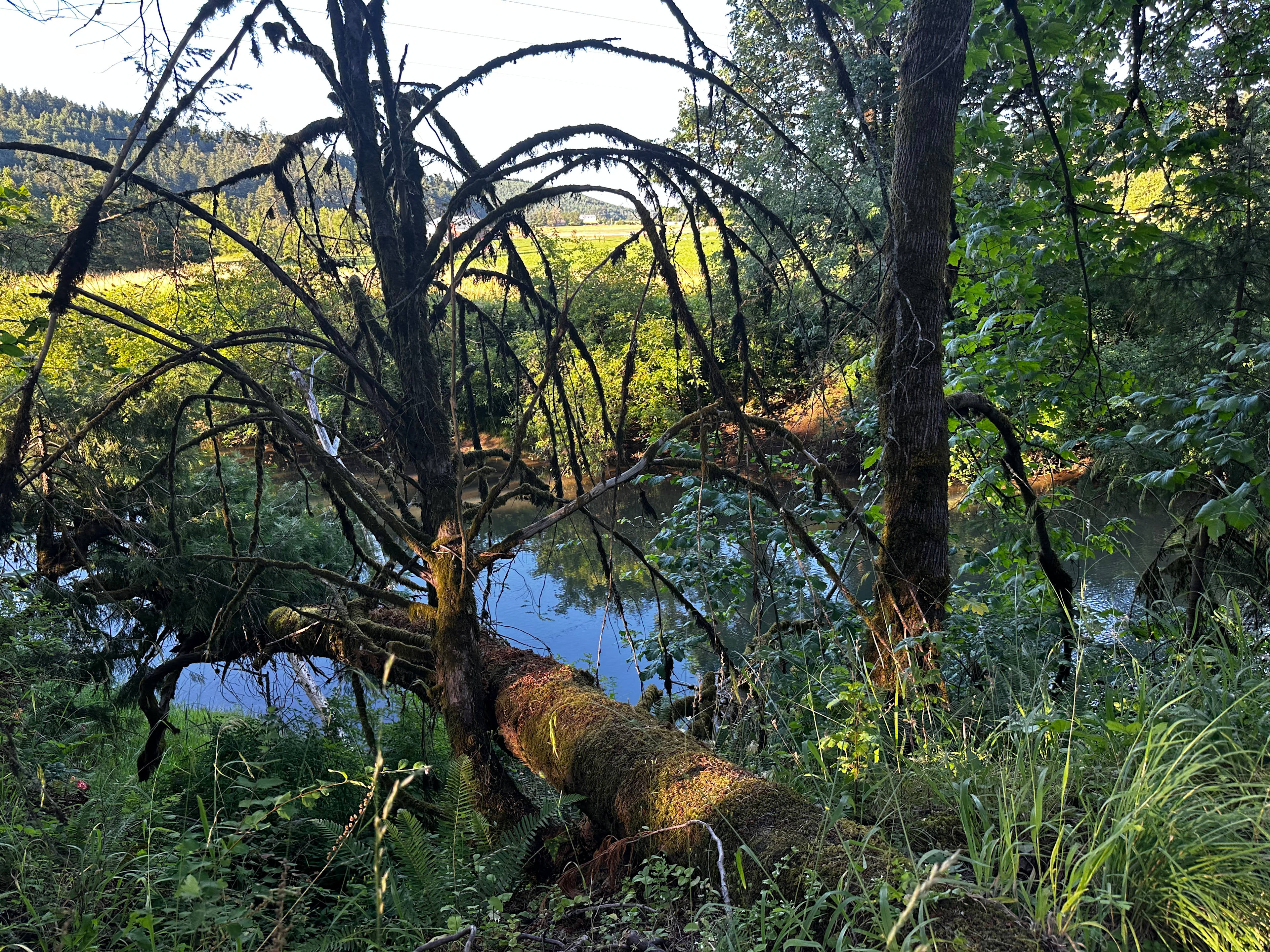 This is the view of the river across from your camp site.  You can pull up your camp chair and enjoy the view