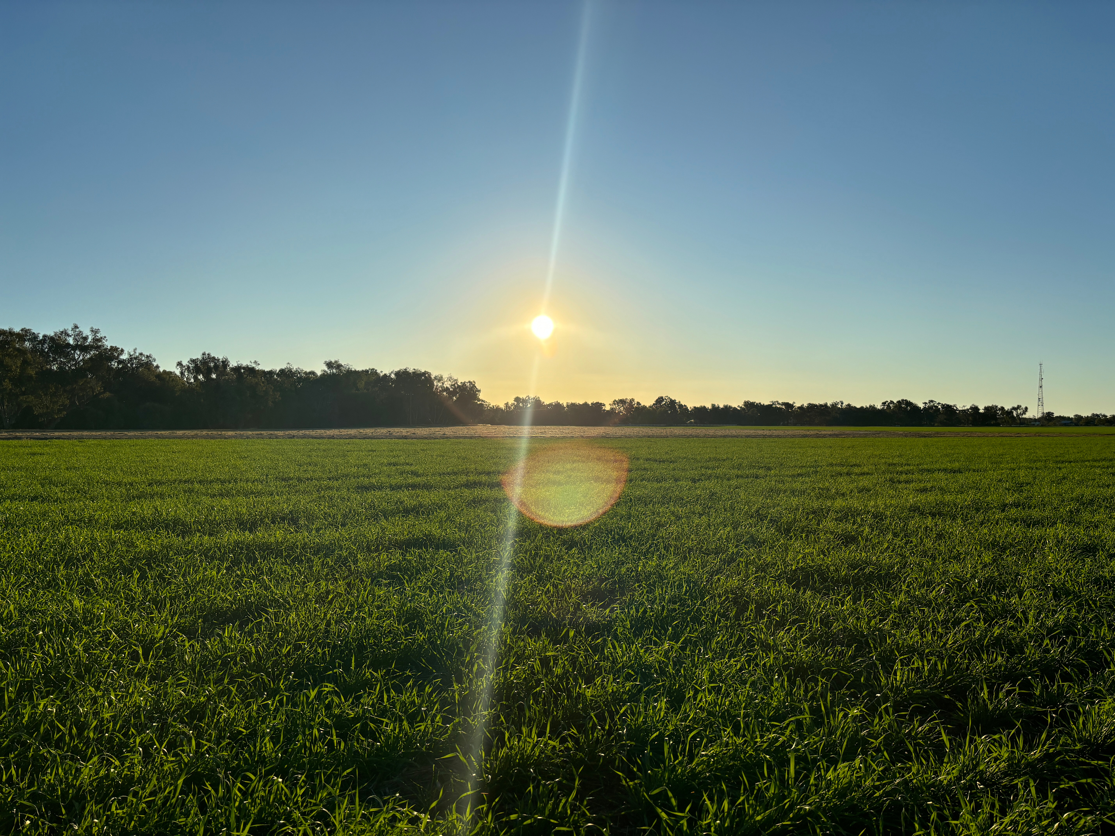 Tarrawingee Farm - Curated Gardens