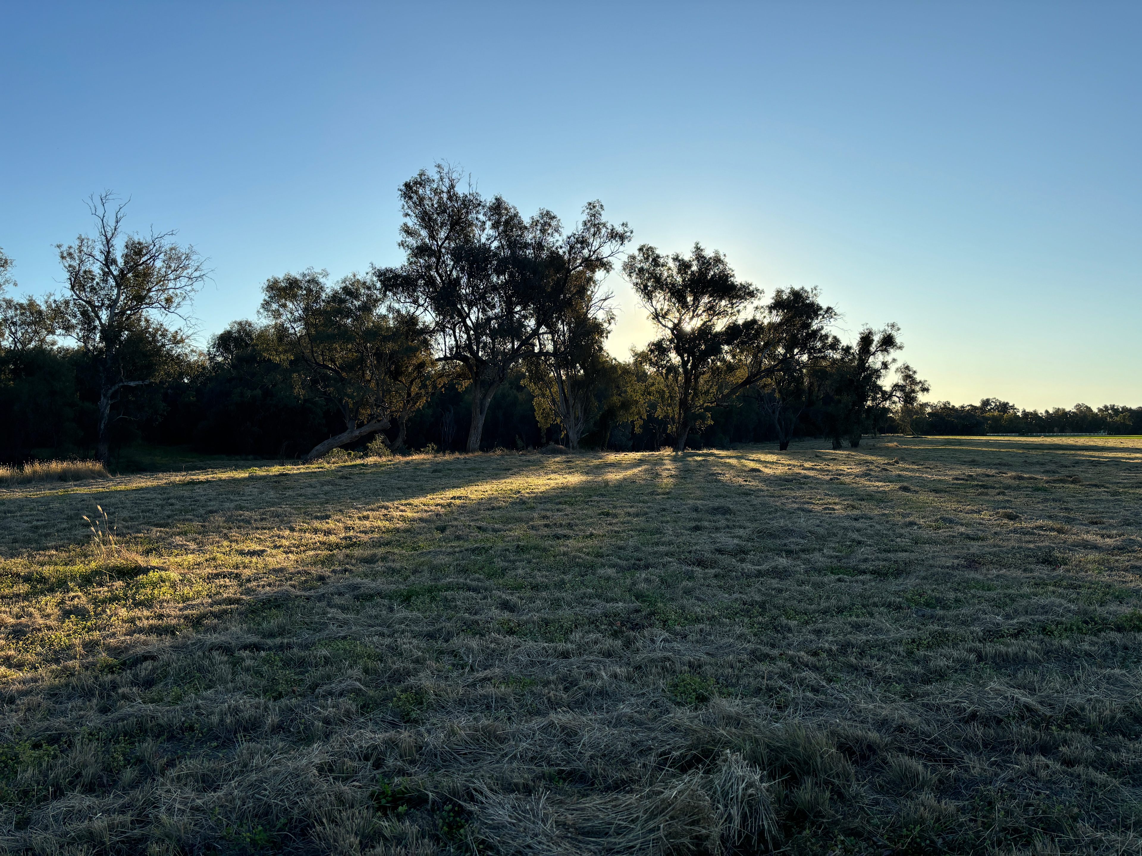 Tarrawingee Farm - Curated Gardens
