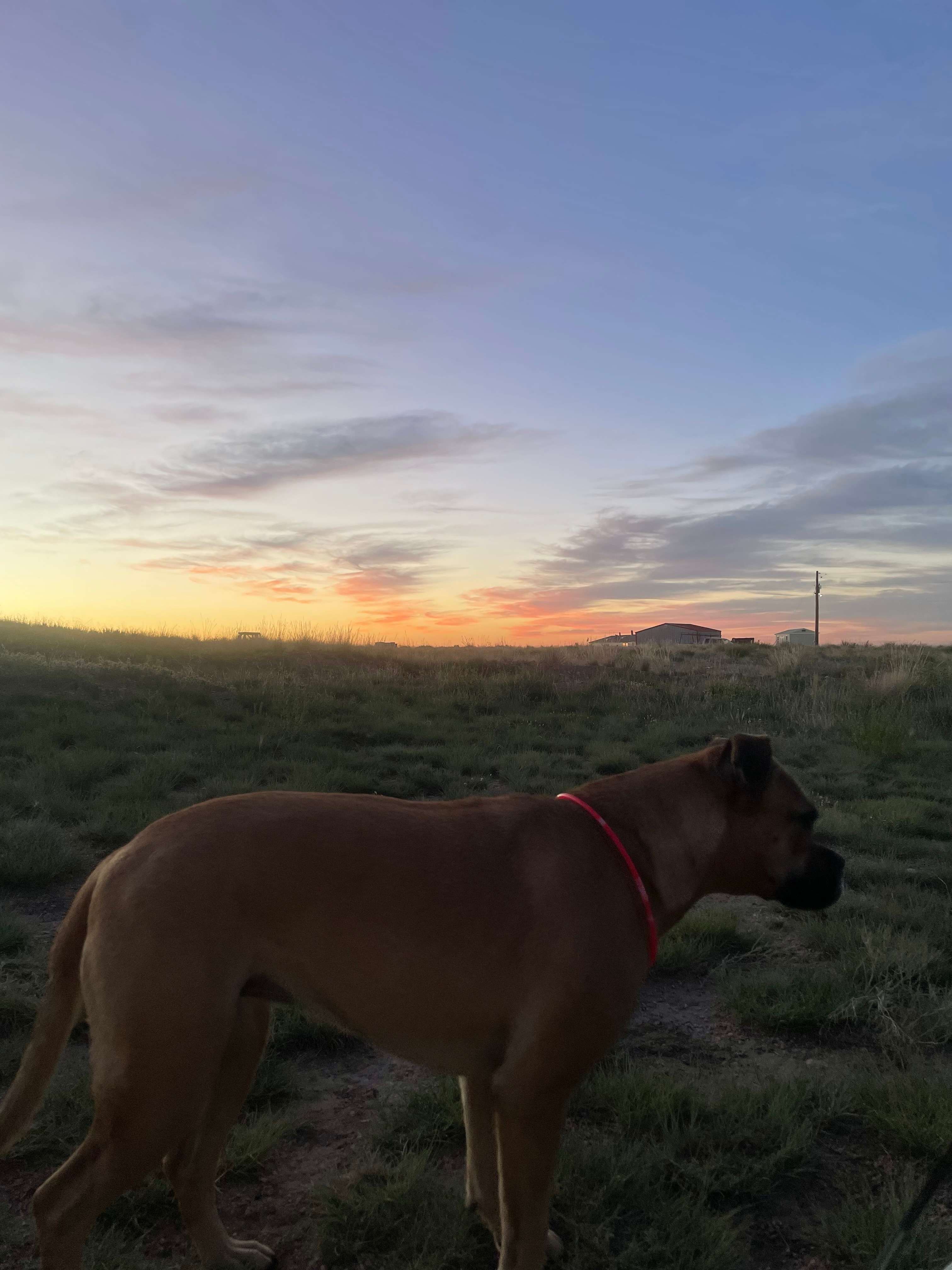 Desert with views of Pikes Peak