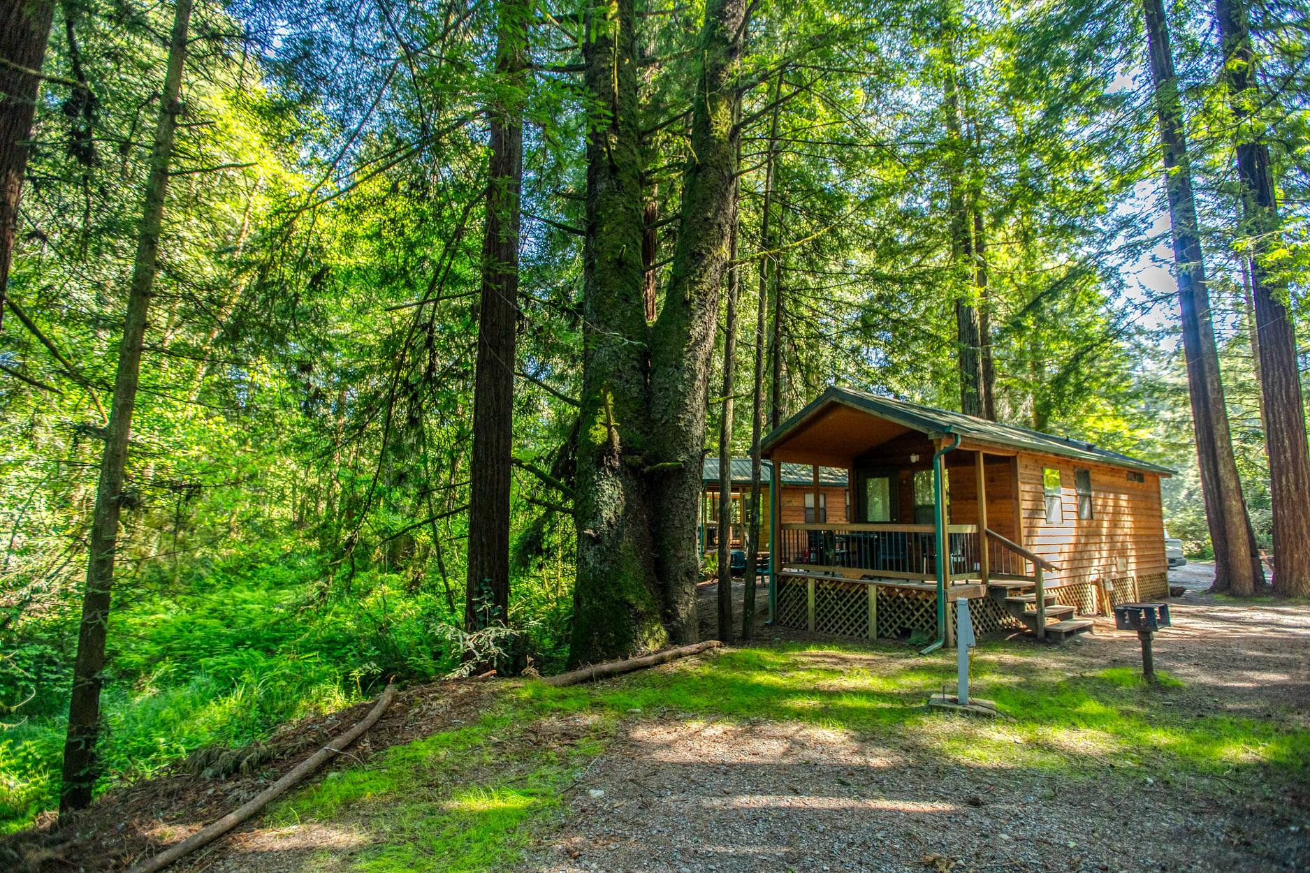 Ramblin' Redwoods Cabins