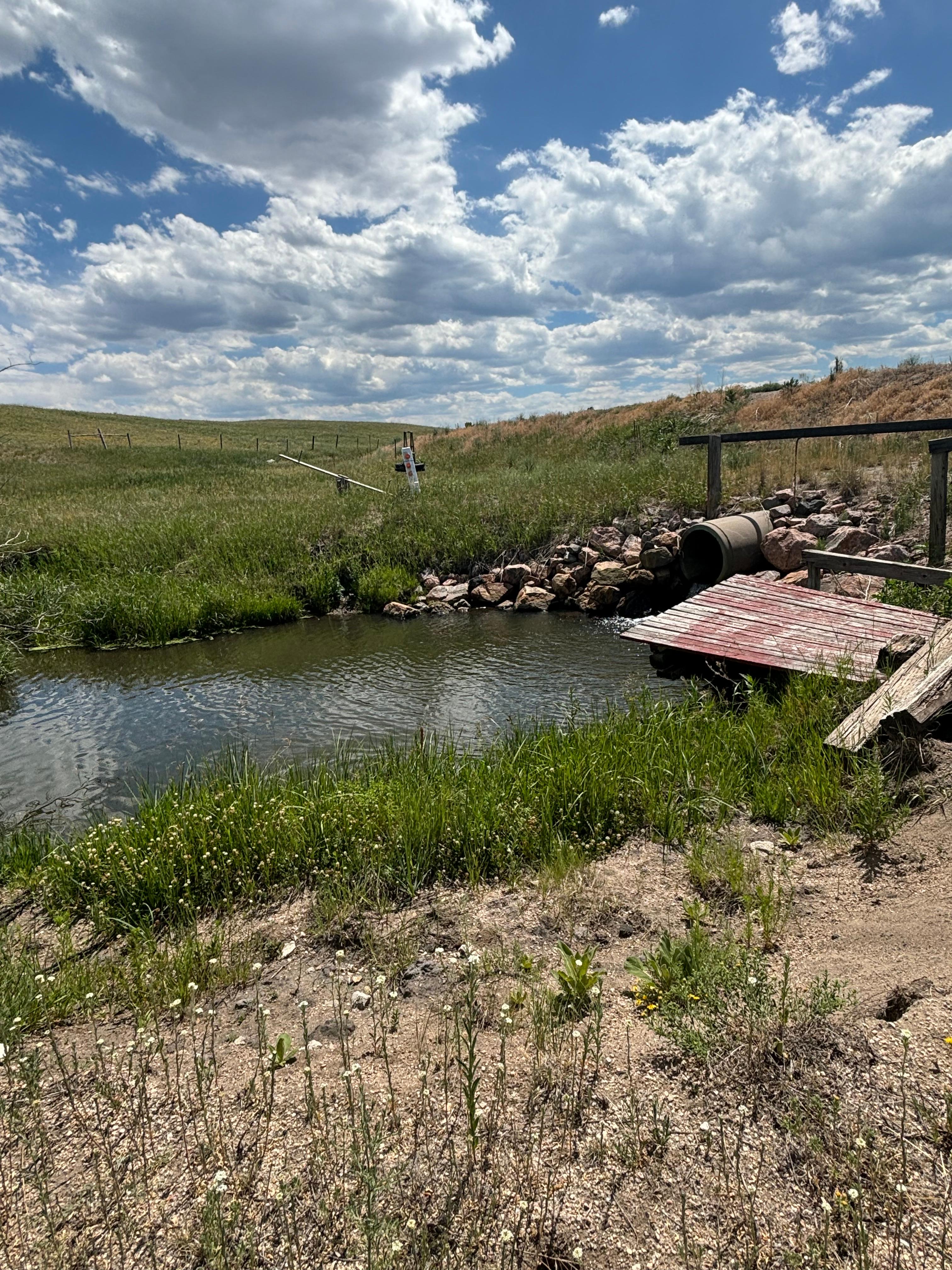Little Creek