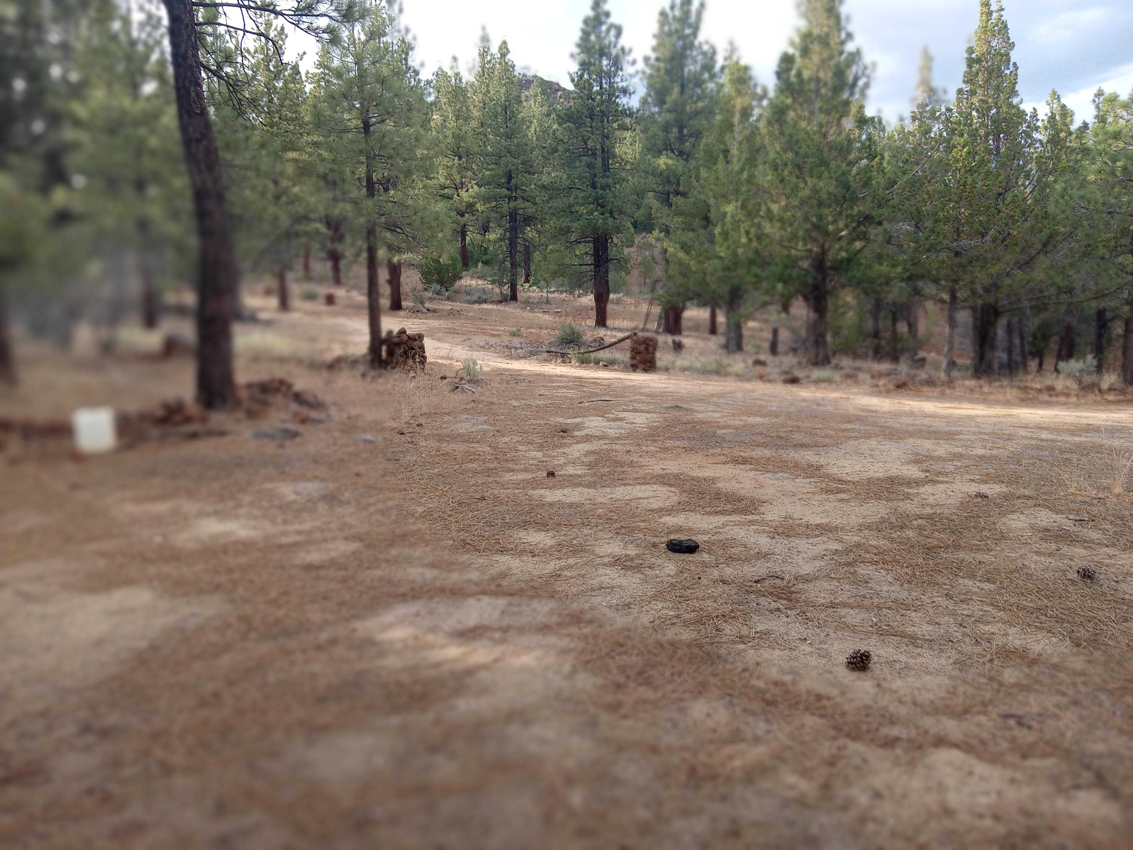 Hamilton- Braulio Ranch