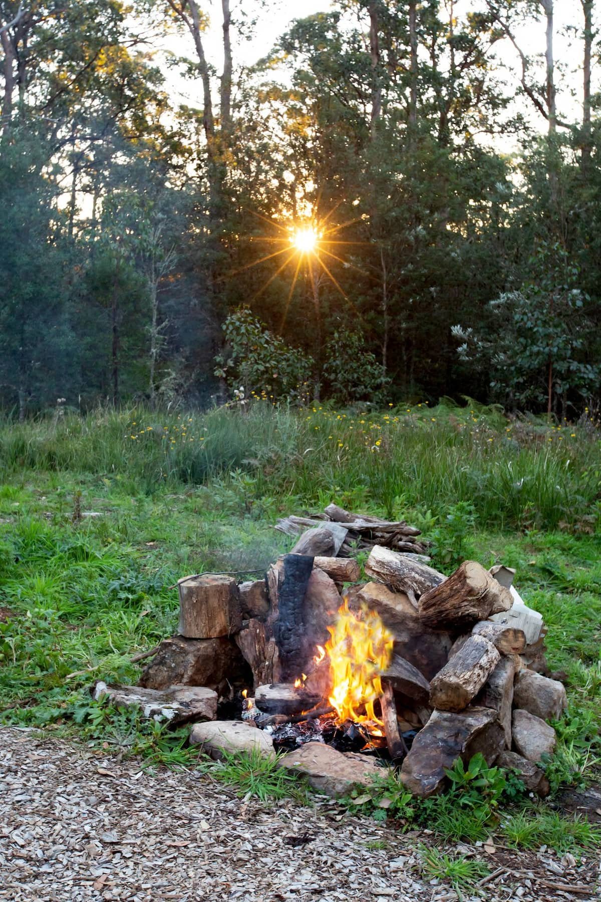 Dorrigo Bush Pepper Retreat