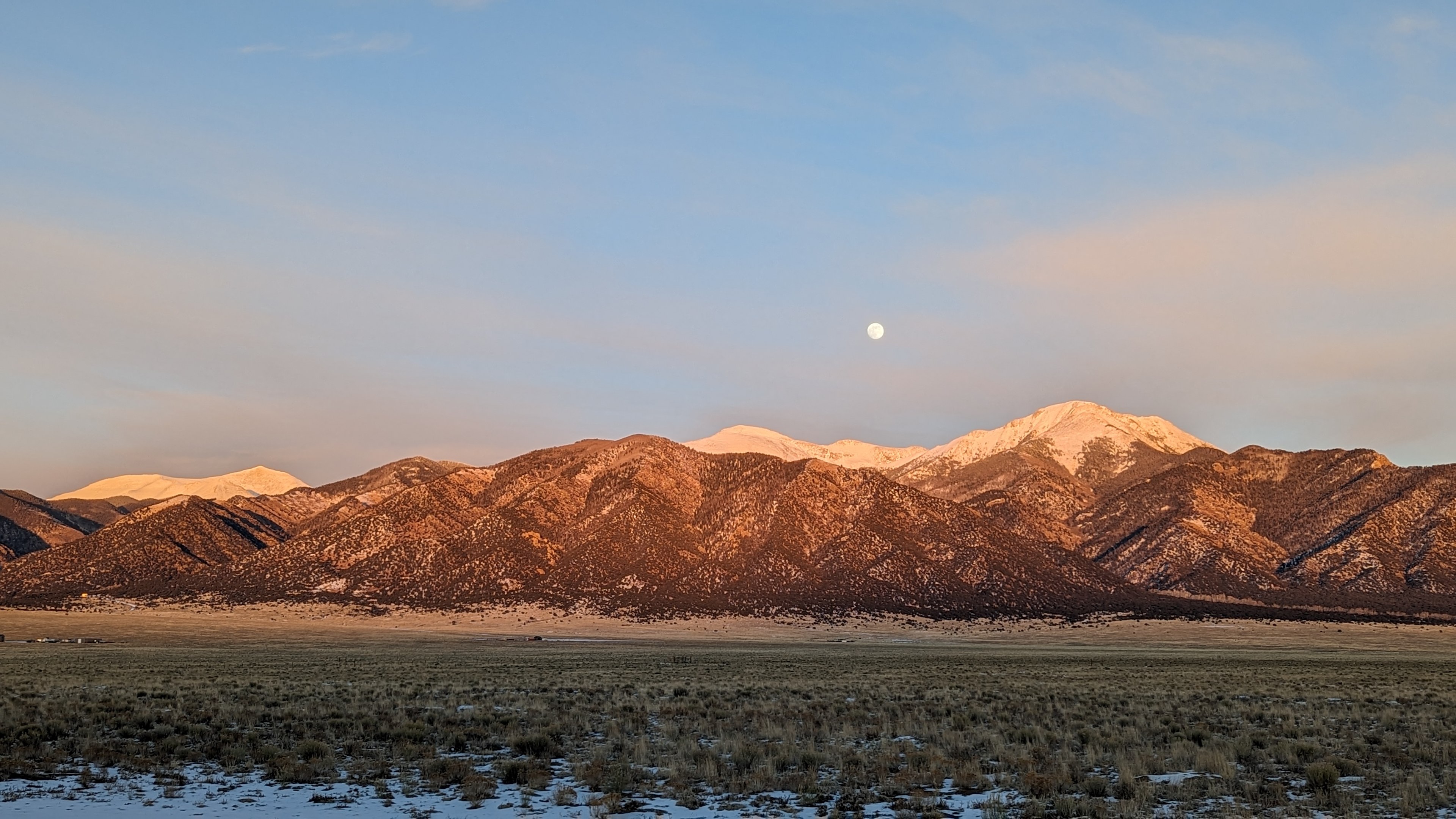 Mountain Bird Alpine Desert