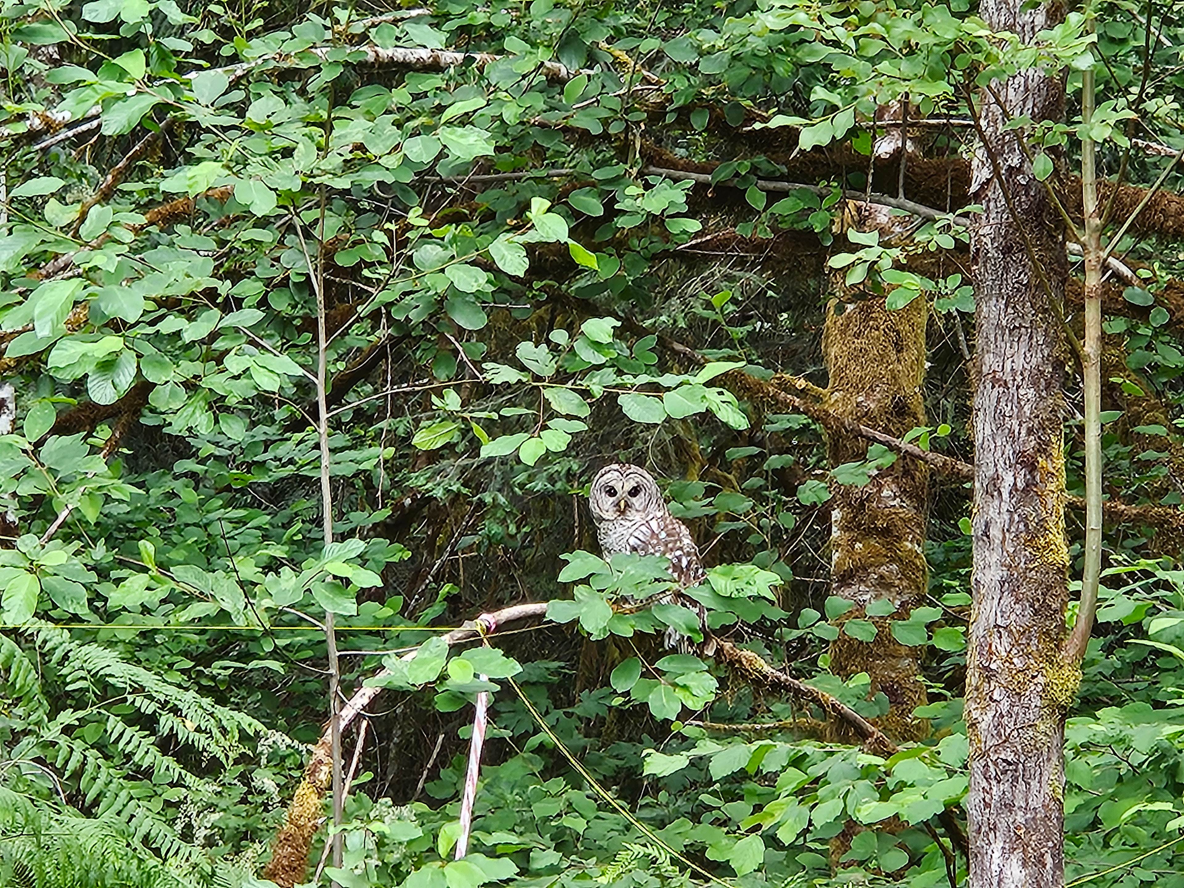 One of the many friends waiting to greet you!