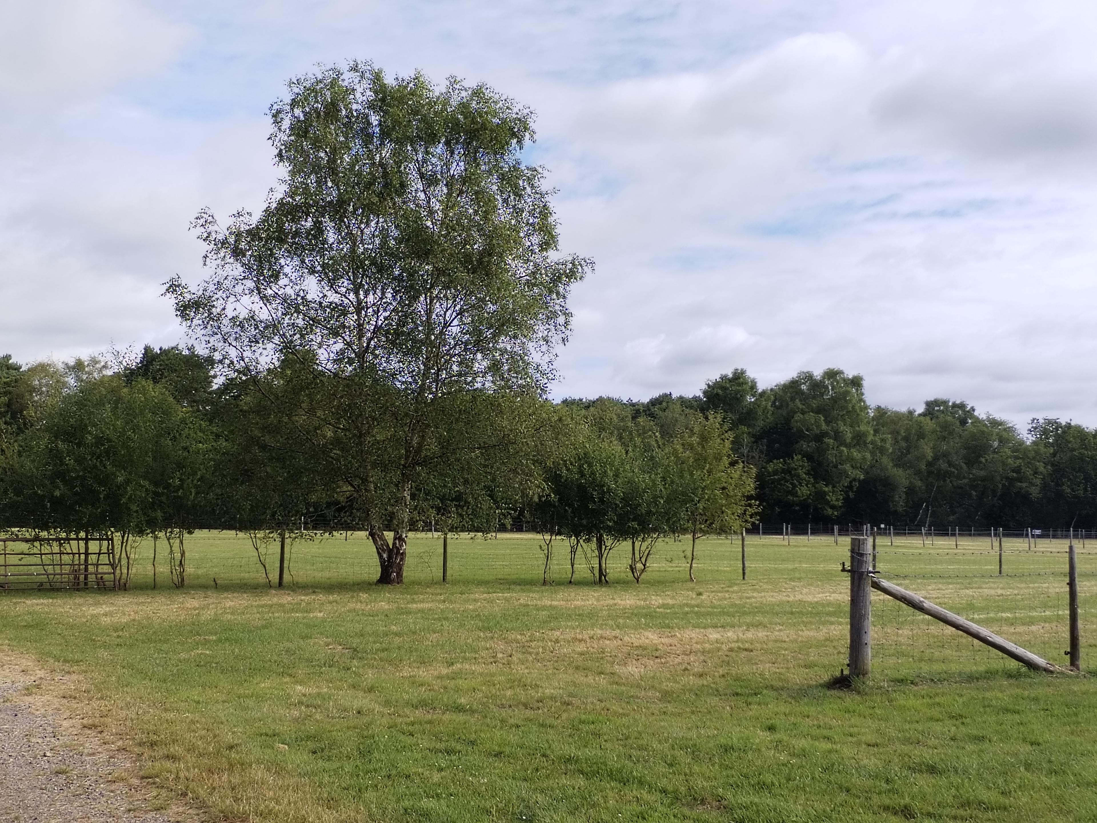 Little Hill Farm Camping