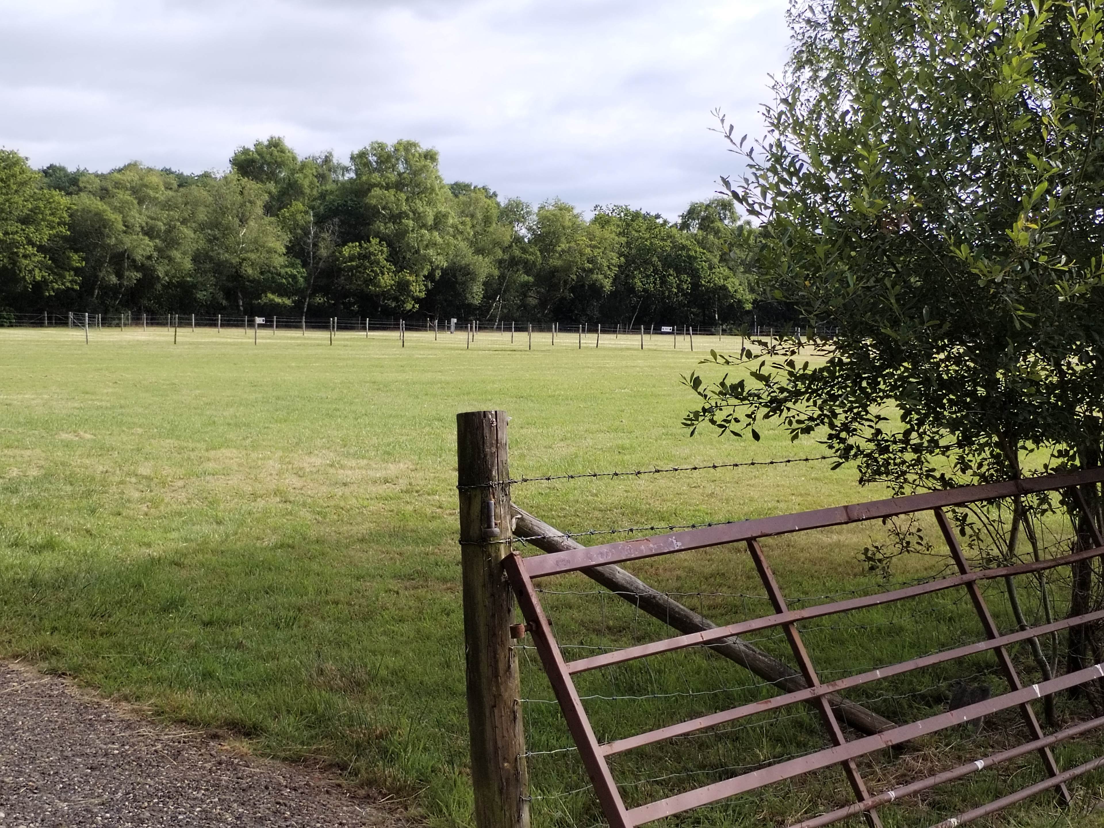 Little Hill Farm Camping