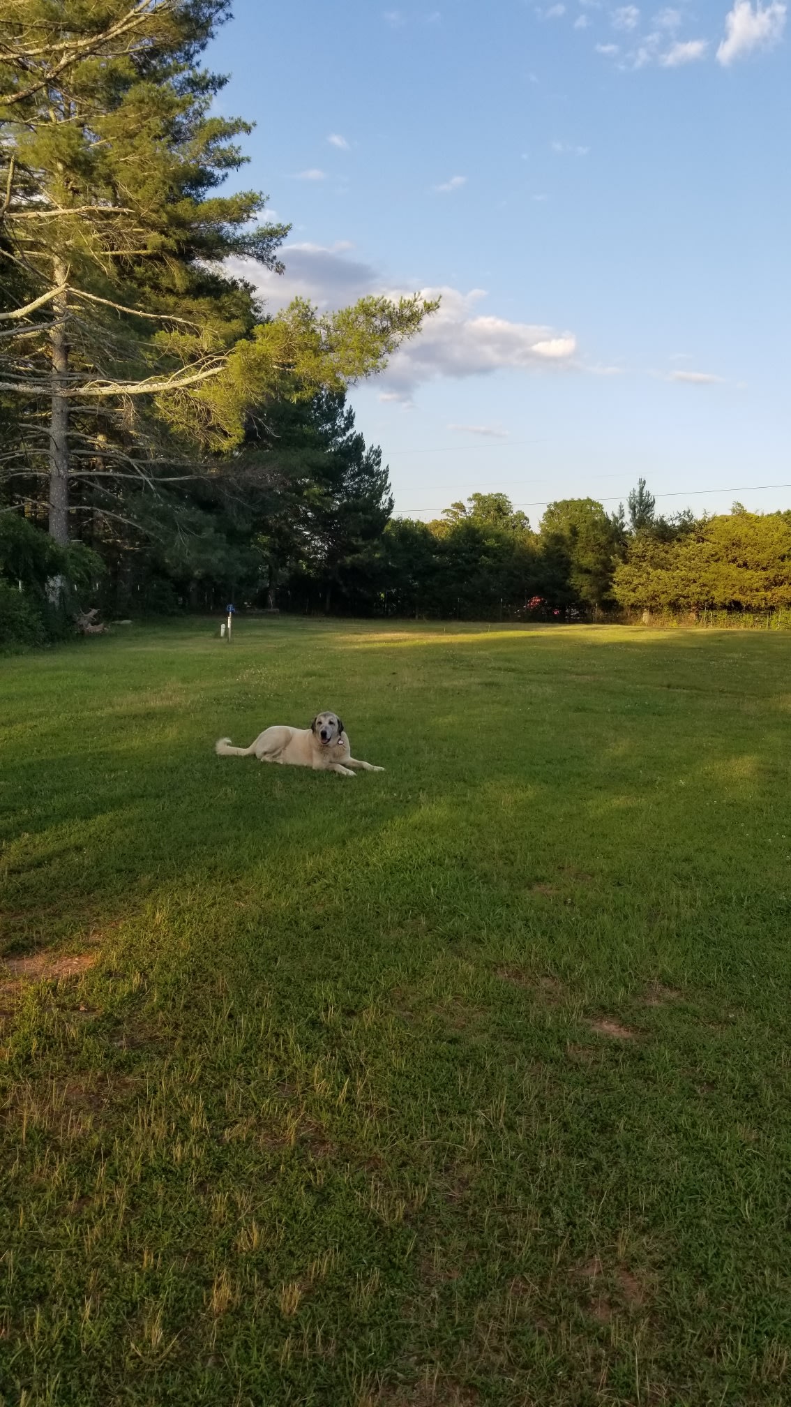 Patient Wait Regenerative Farm