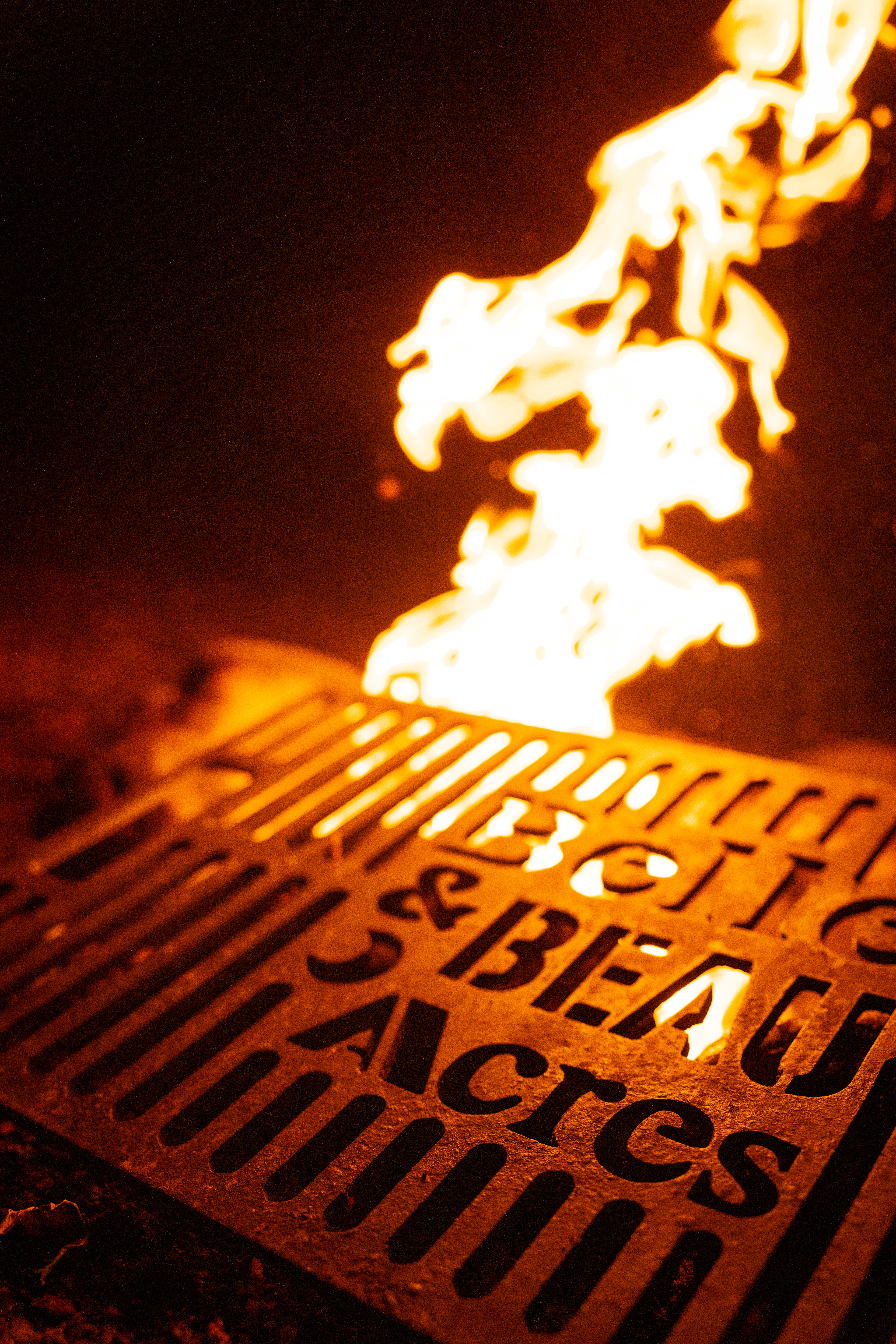 Belle and Beau Acres