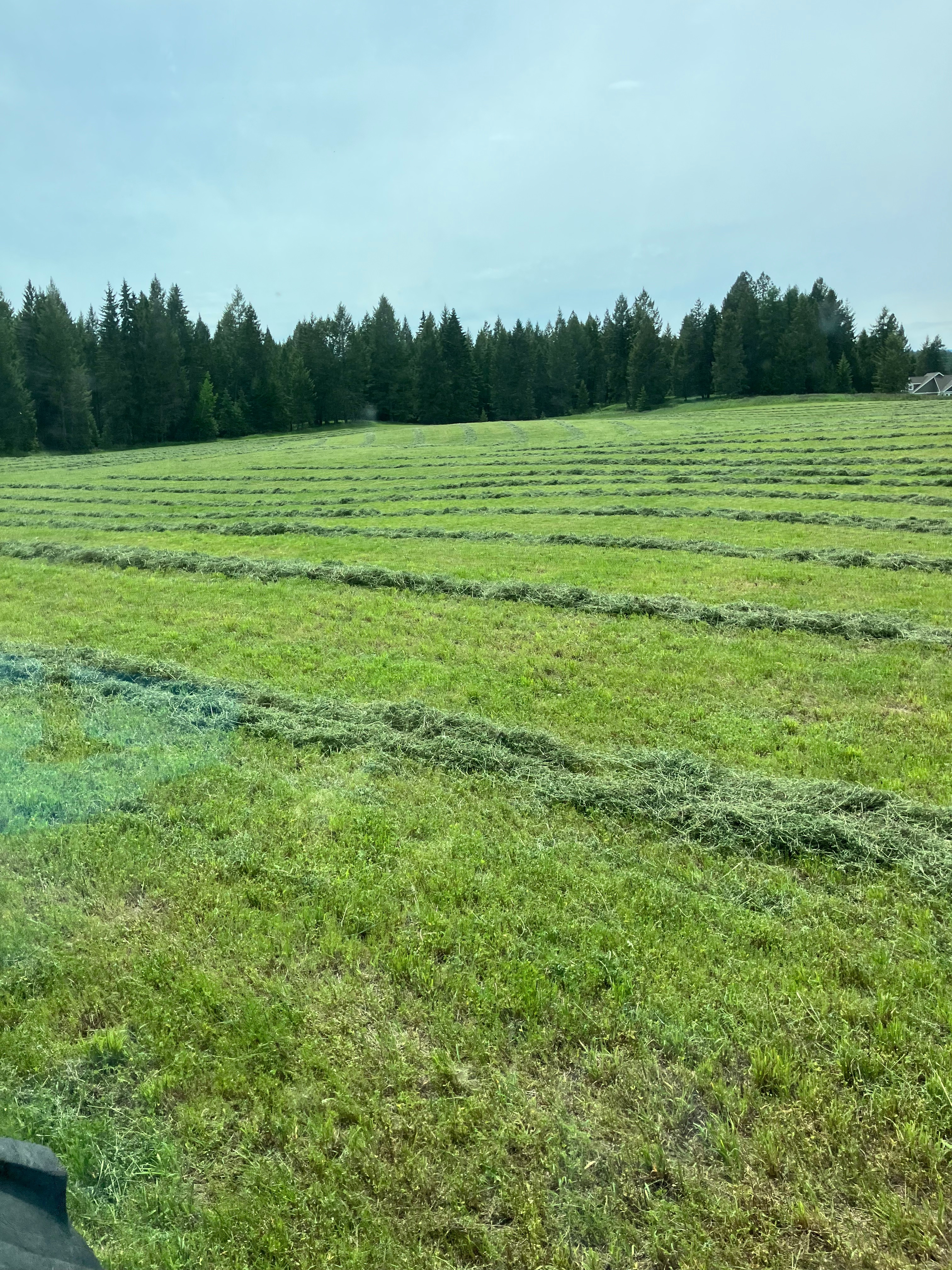 Mountain View Farmstead