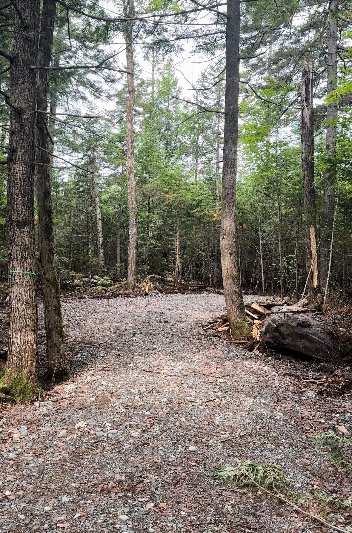 Wooded tent/RV site near Lake