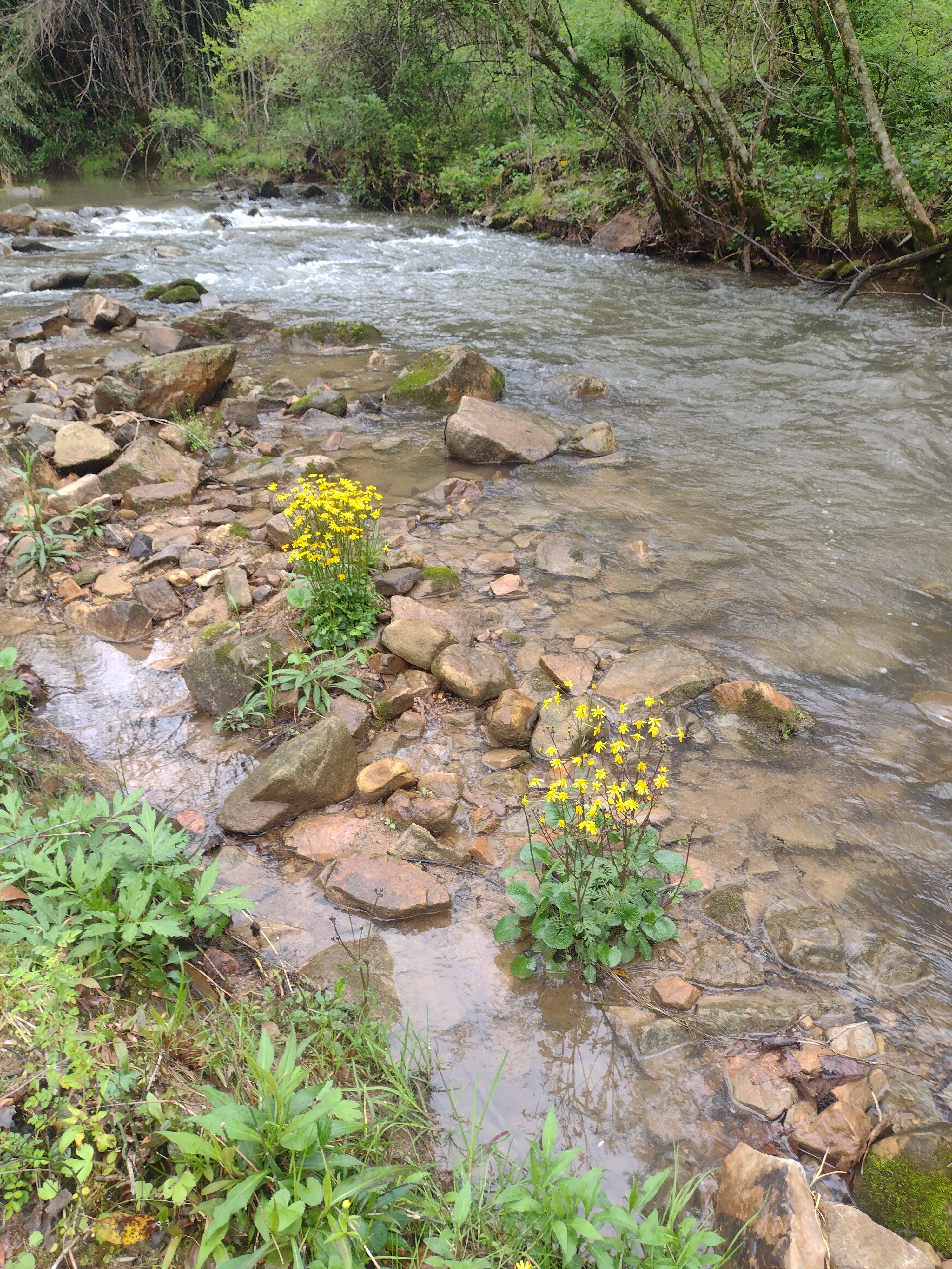 Long Creek Haven