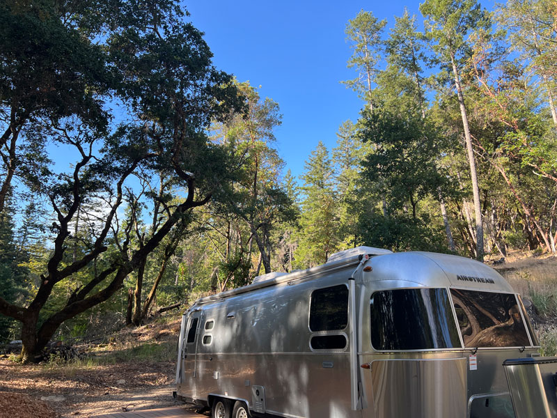 Breathing Trees Camp