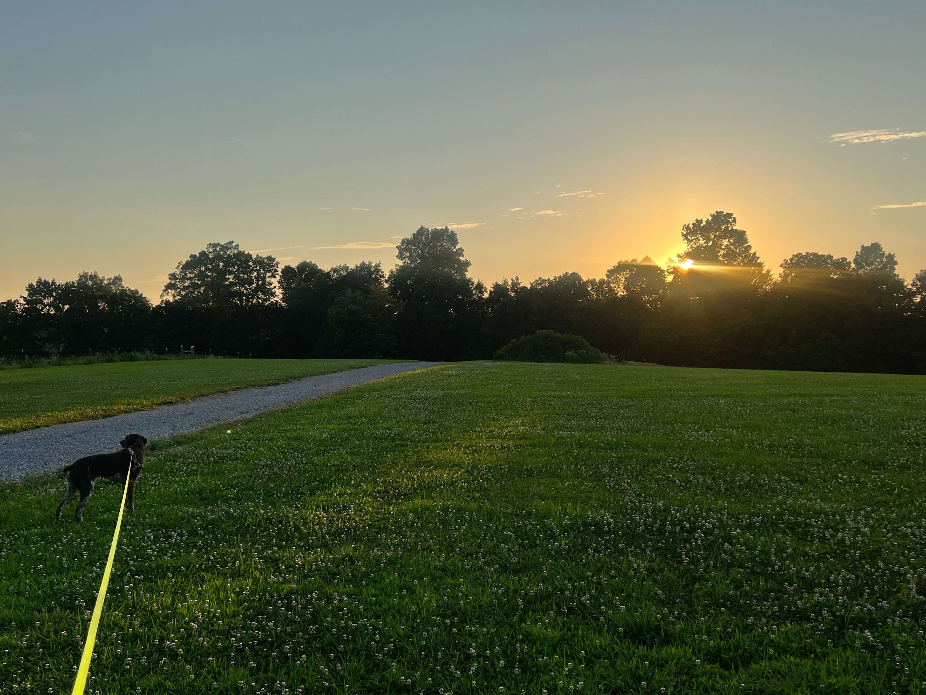 The Bee Happy Campground