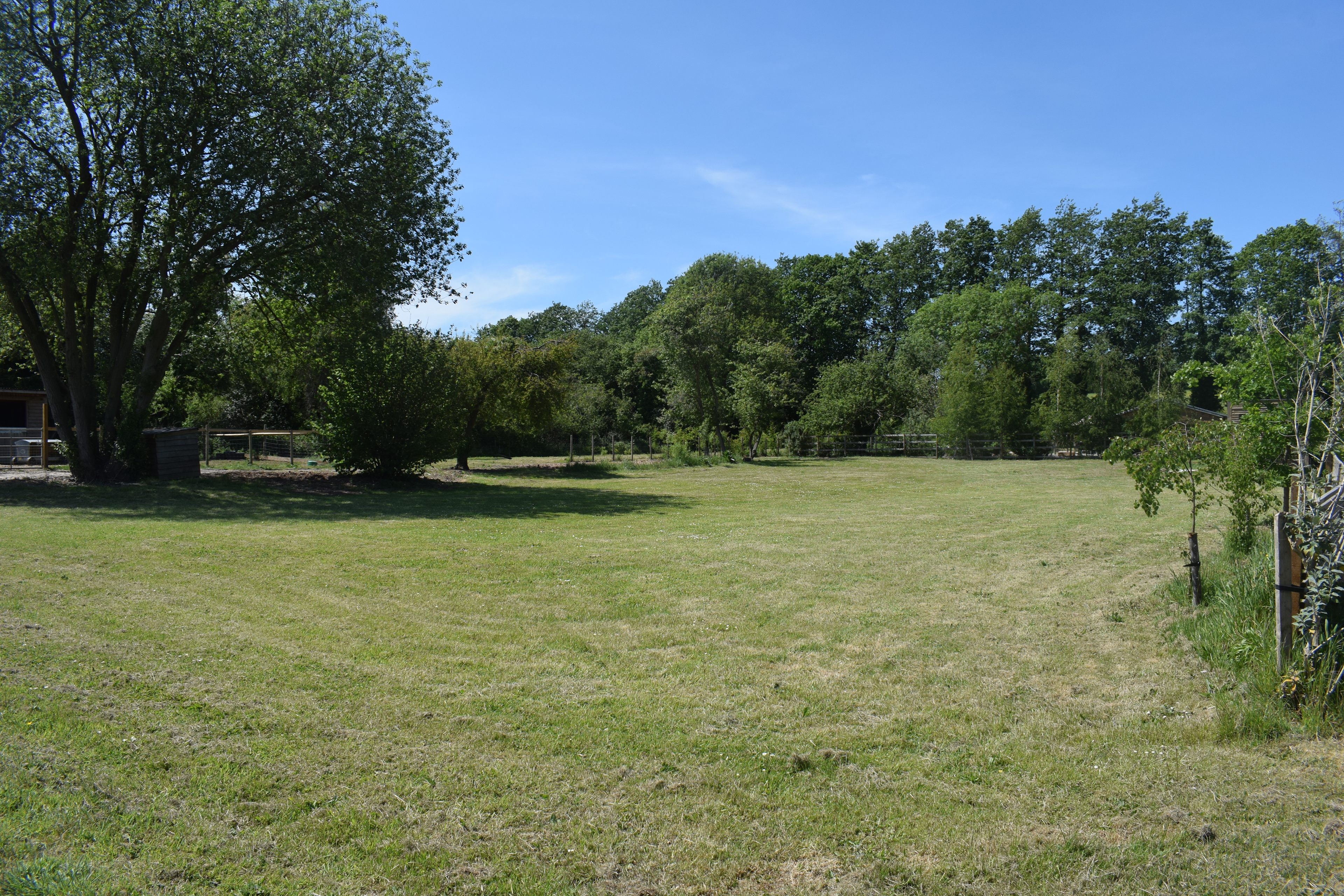 Canterbury Lodges and Glamping