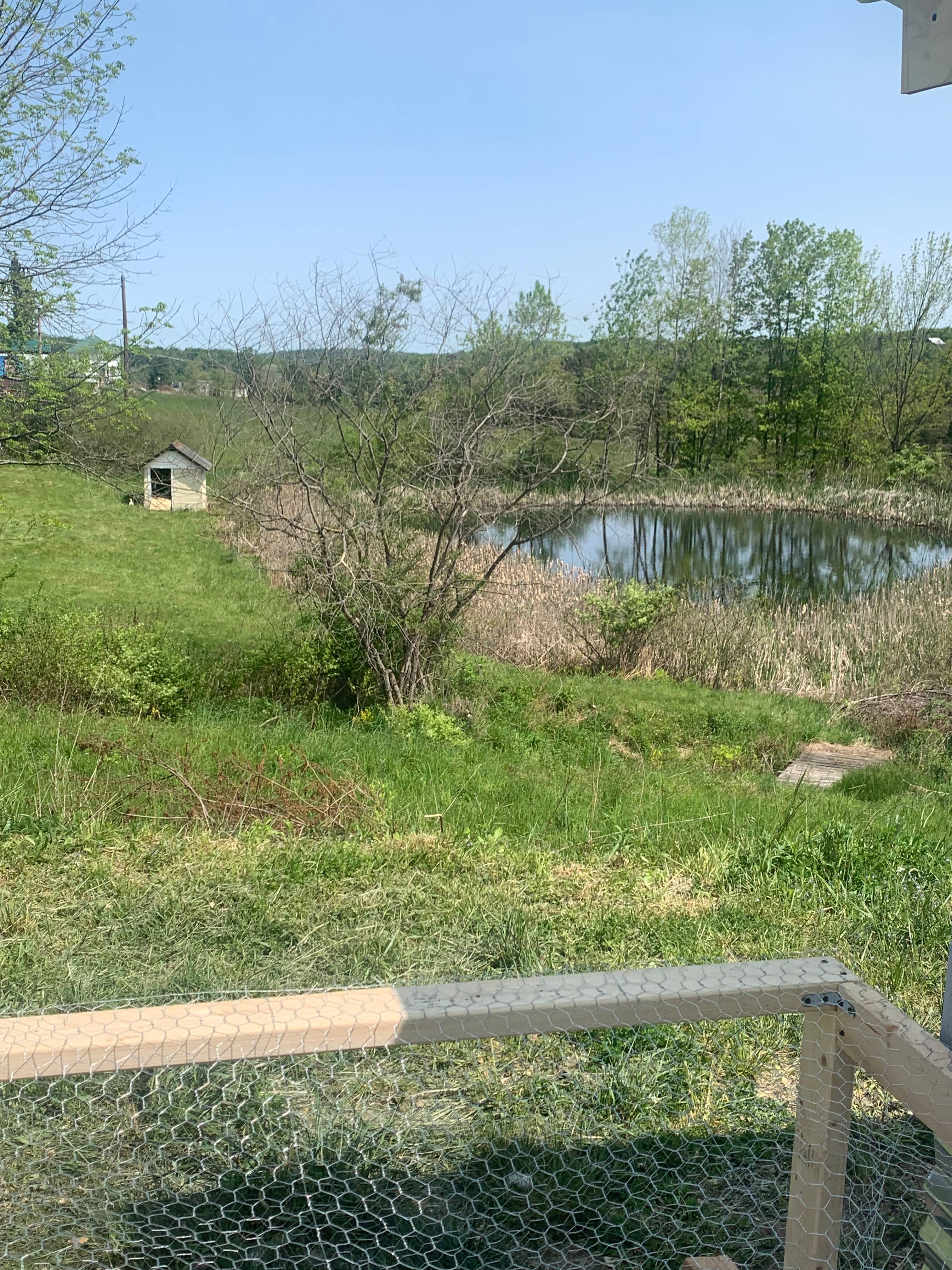 Sleepy Hollow Acres