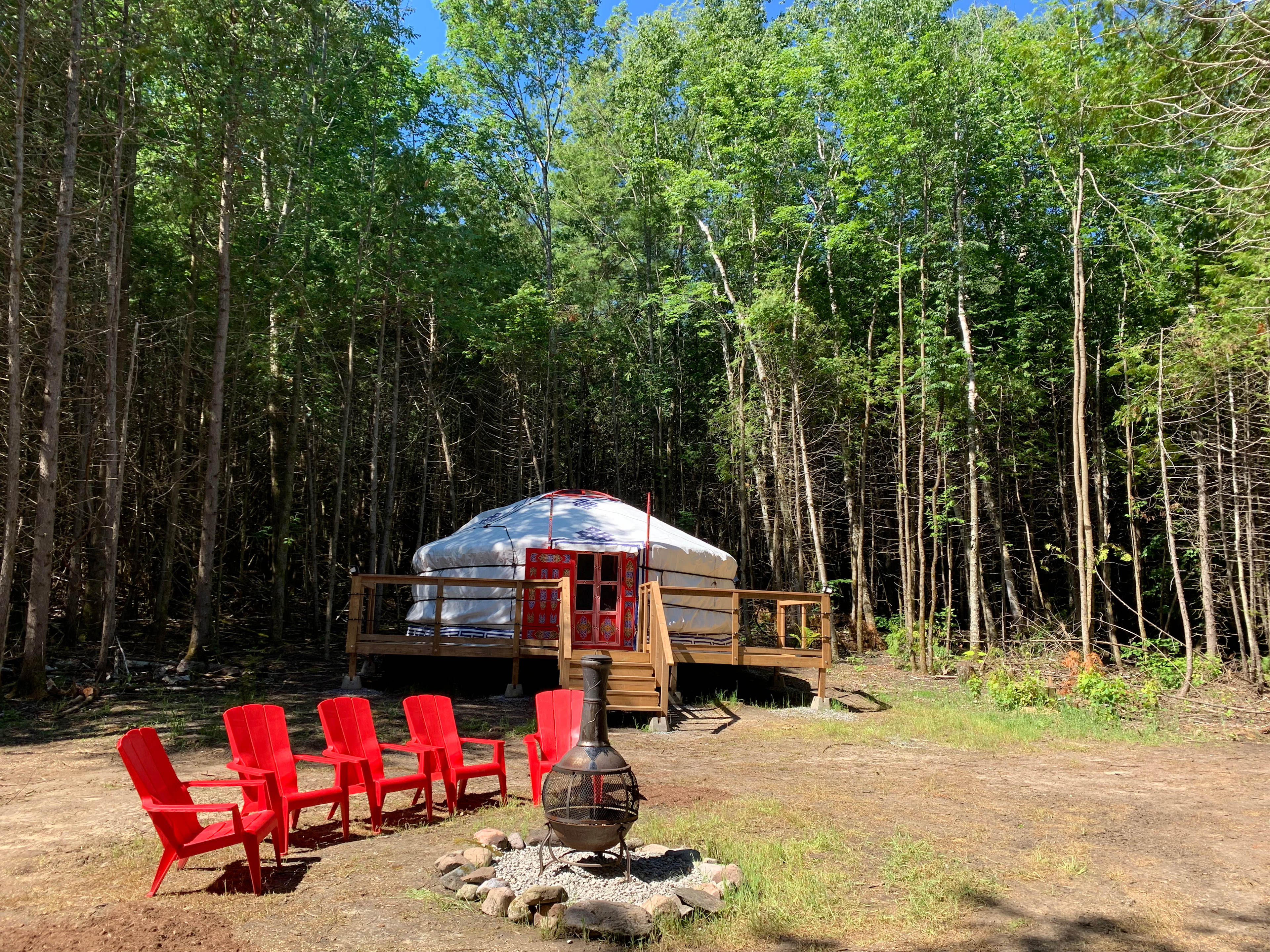 Treefrog Retreat