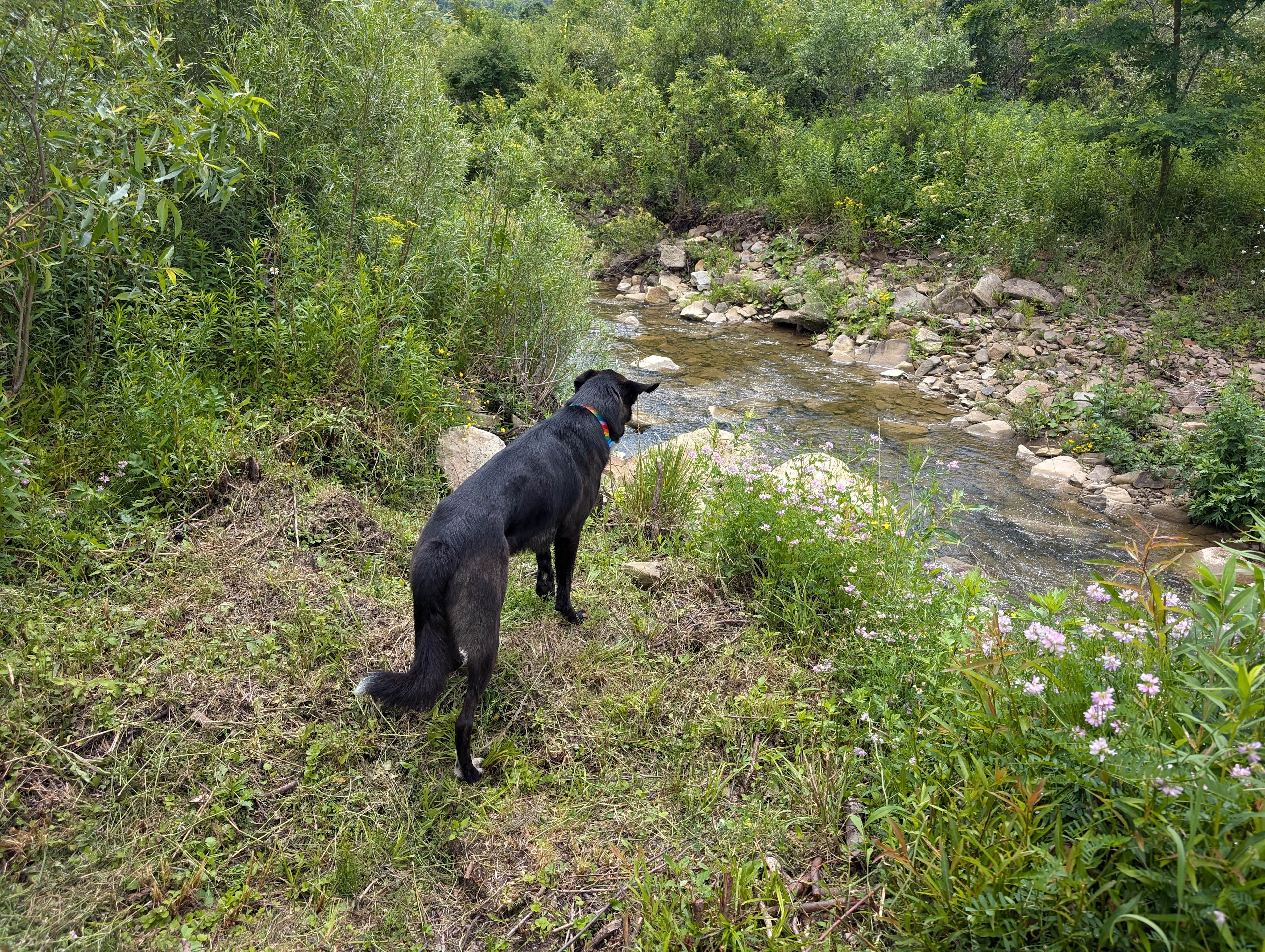 Happy Trails Landing