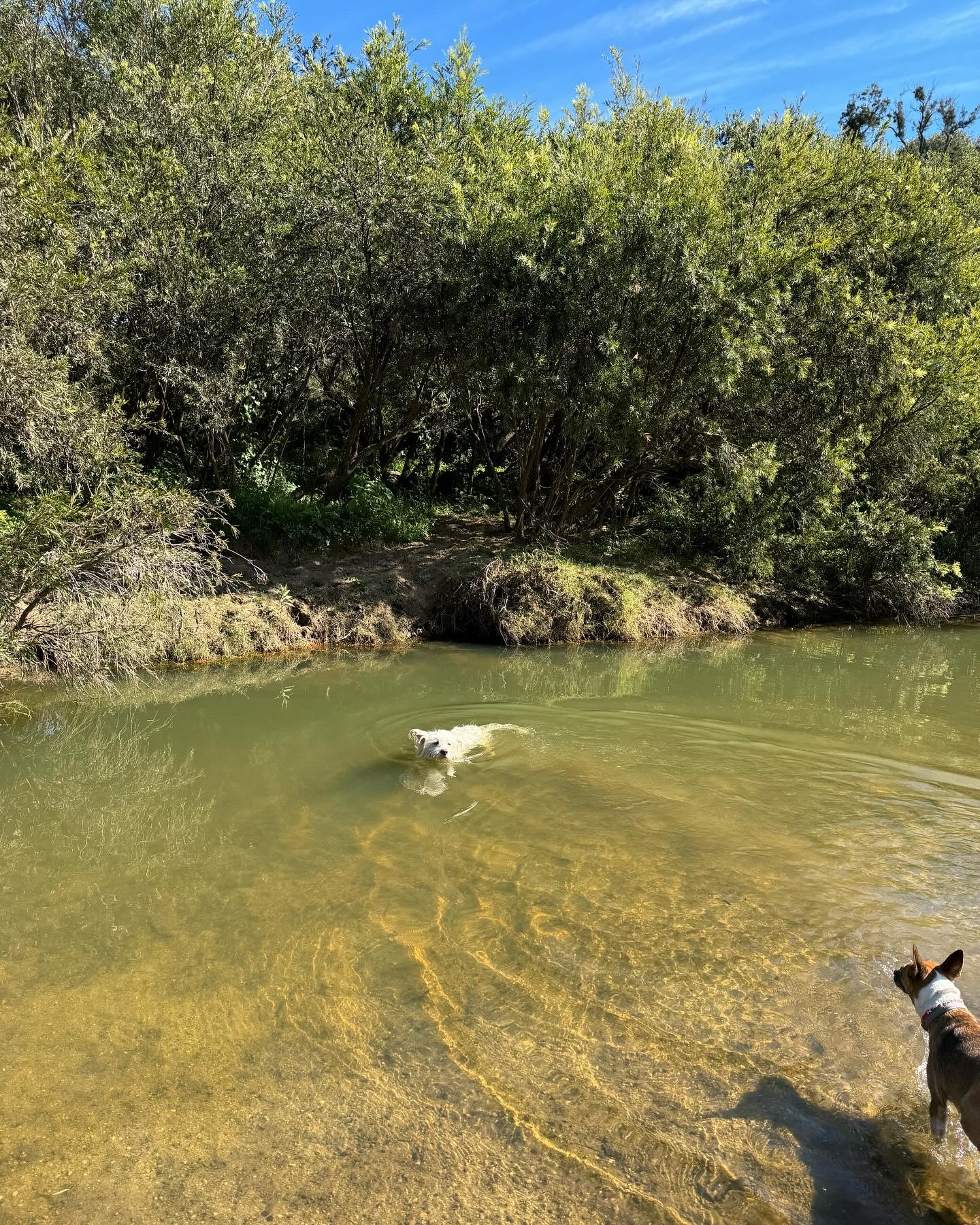 Juburra Country Camping