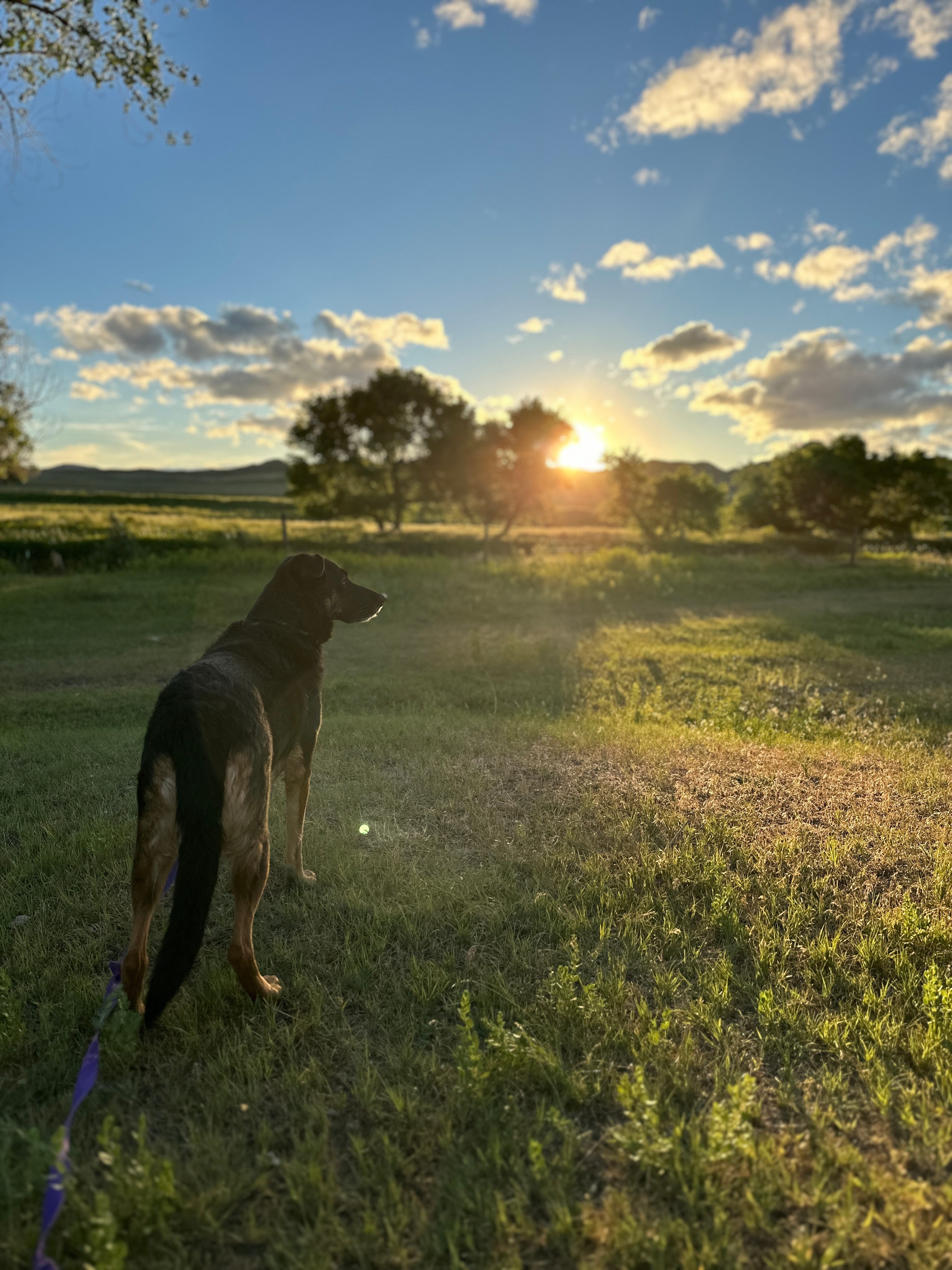 Cross E Ranch Camping