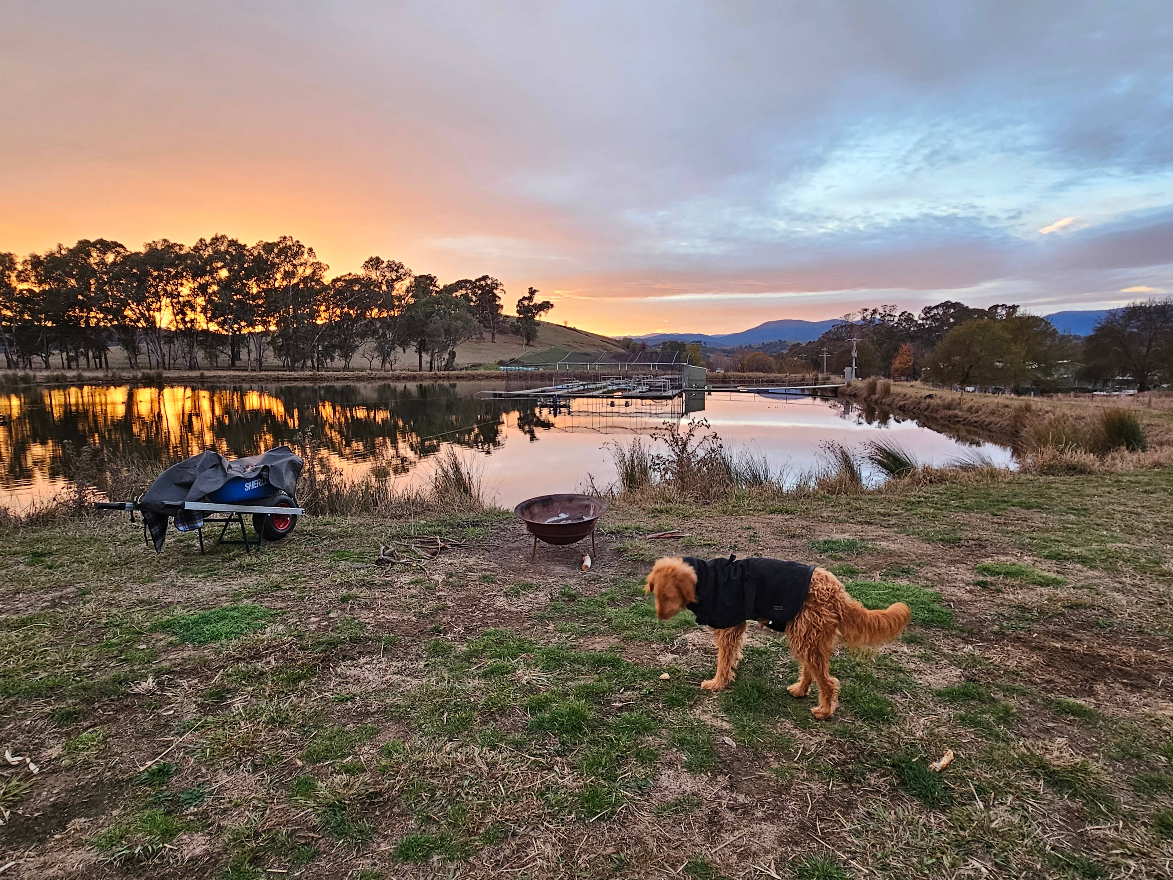 Glenwaters Farmstays