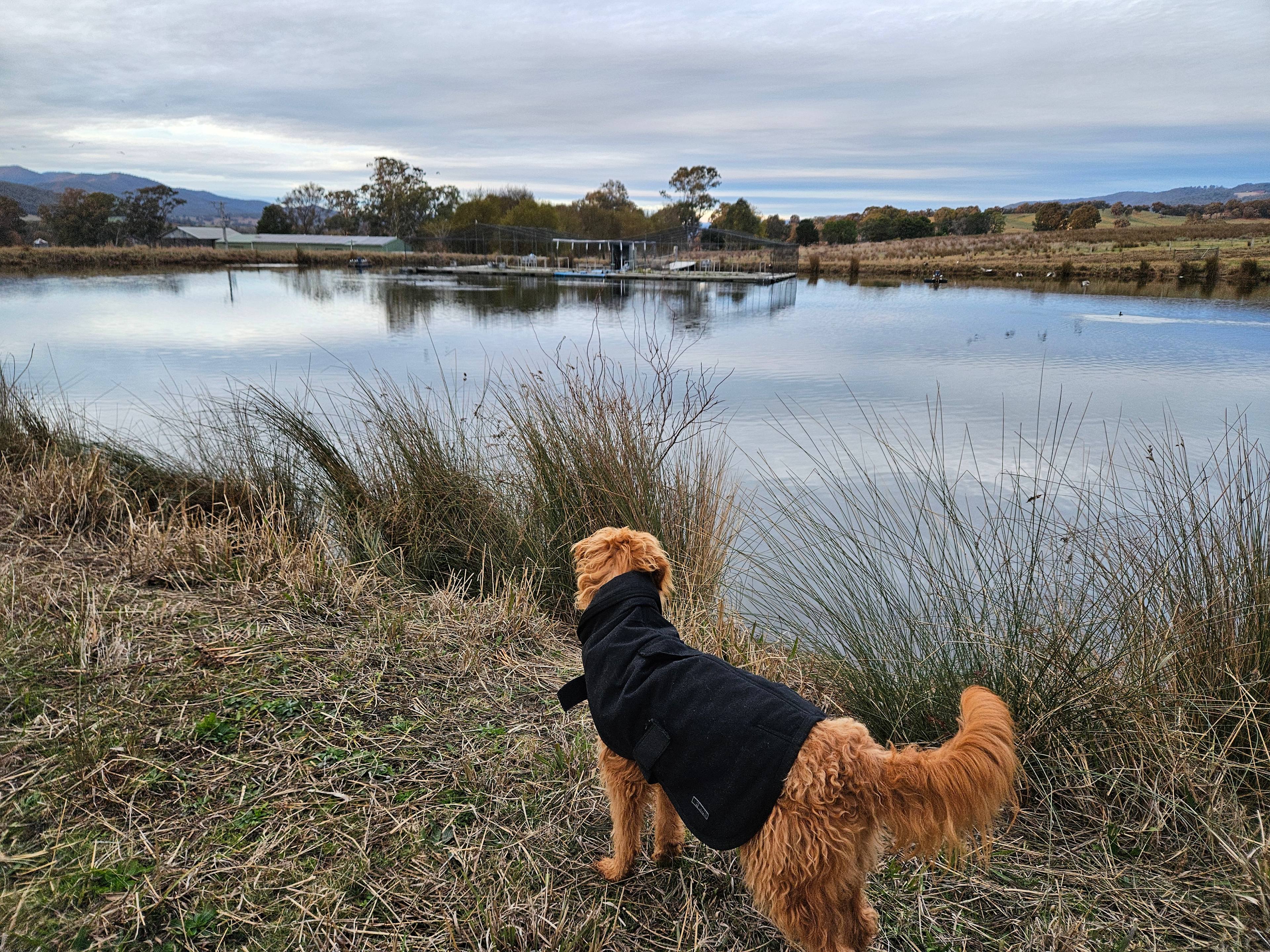 Glenwaters Farmstays
