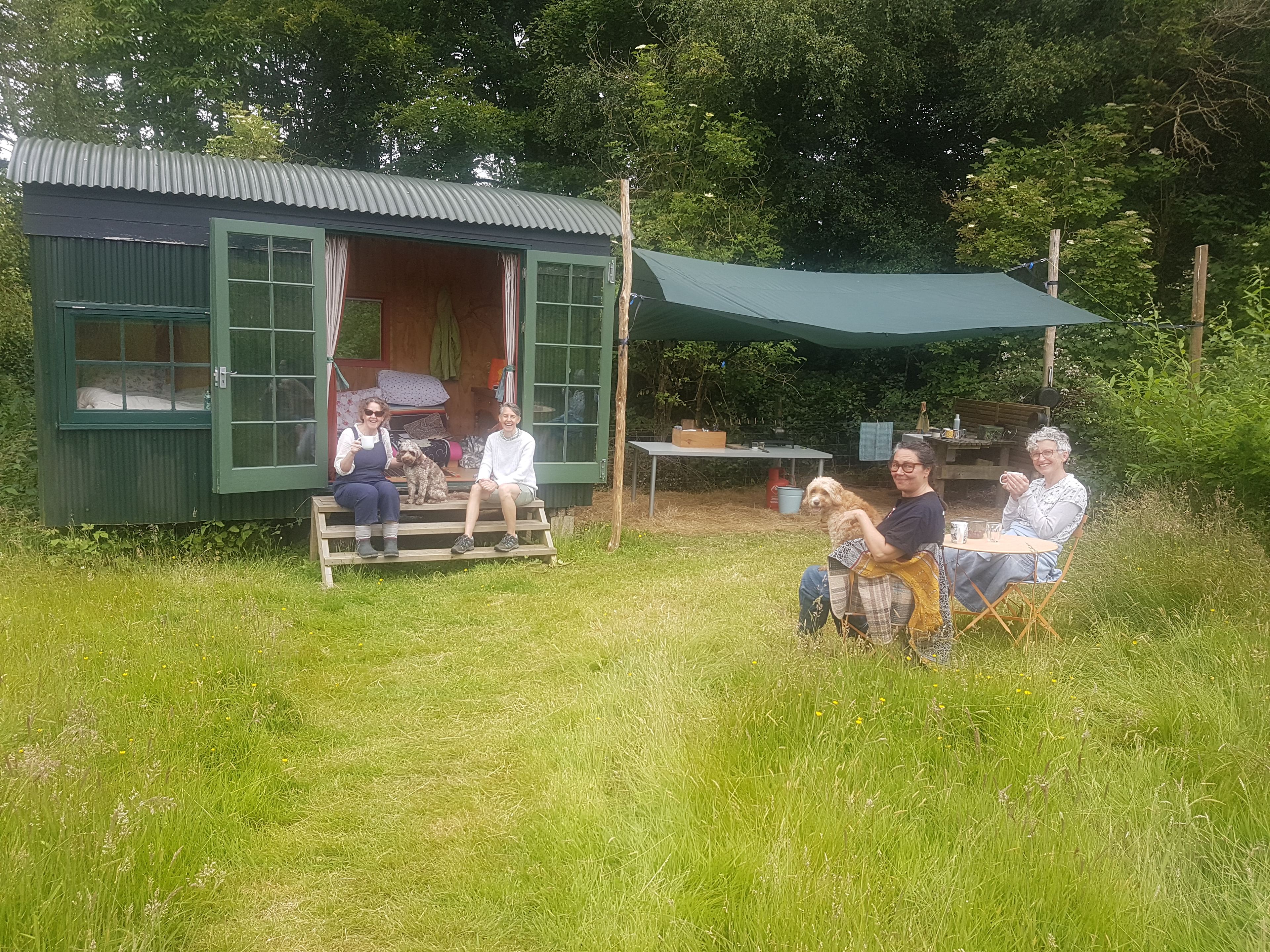 Plum Camping in May Tree Orchard