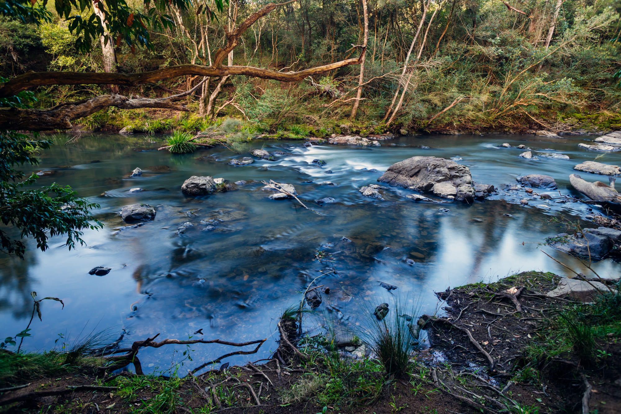 Karuah river at the Rapids site