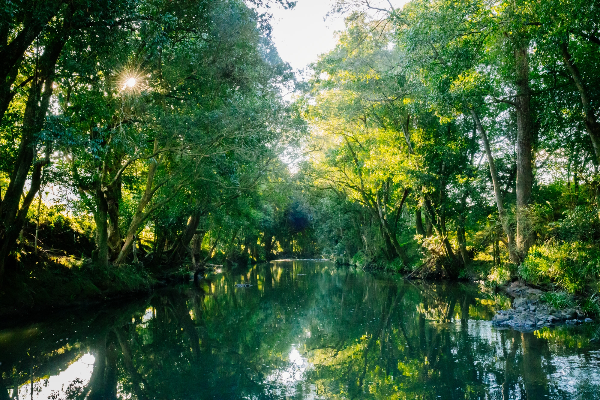river at the Riverview site