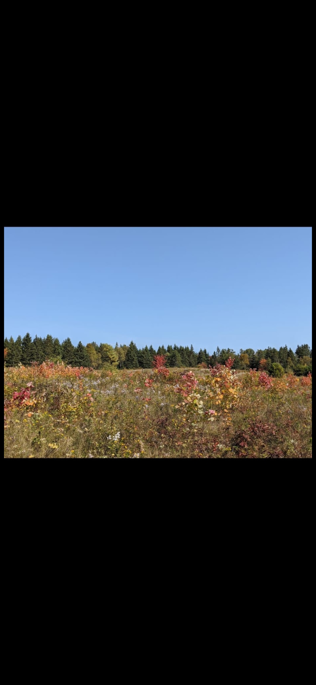 Wickham Nature Retreat