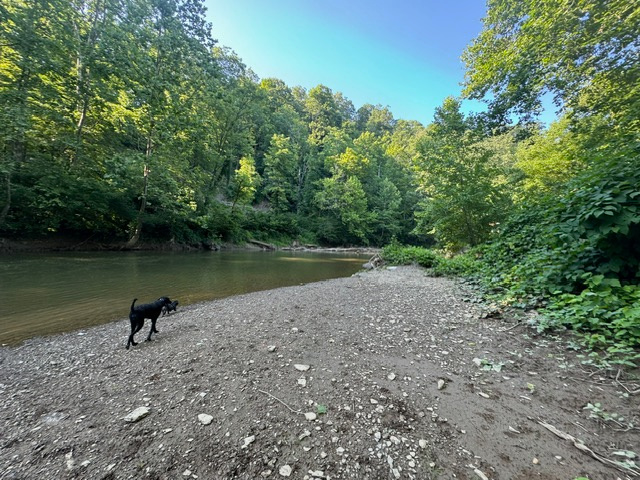 On Rivers Edge