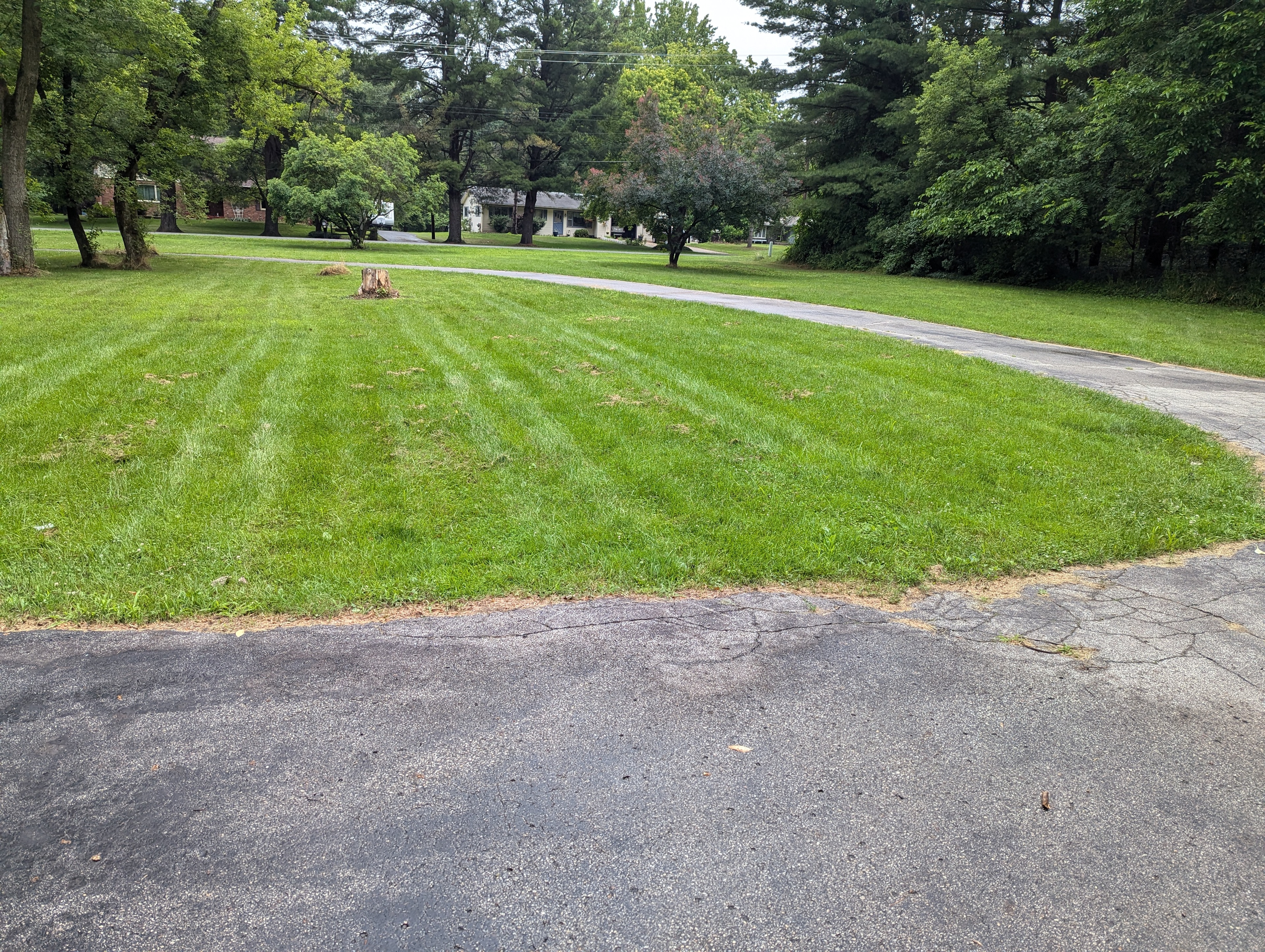 Footsteps From Frankenmuth