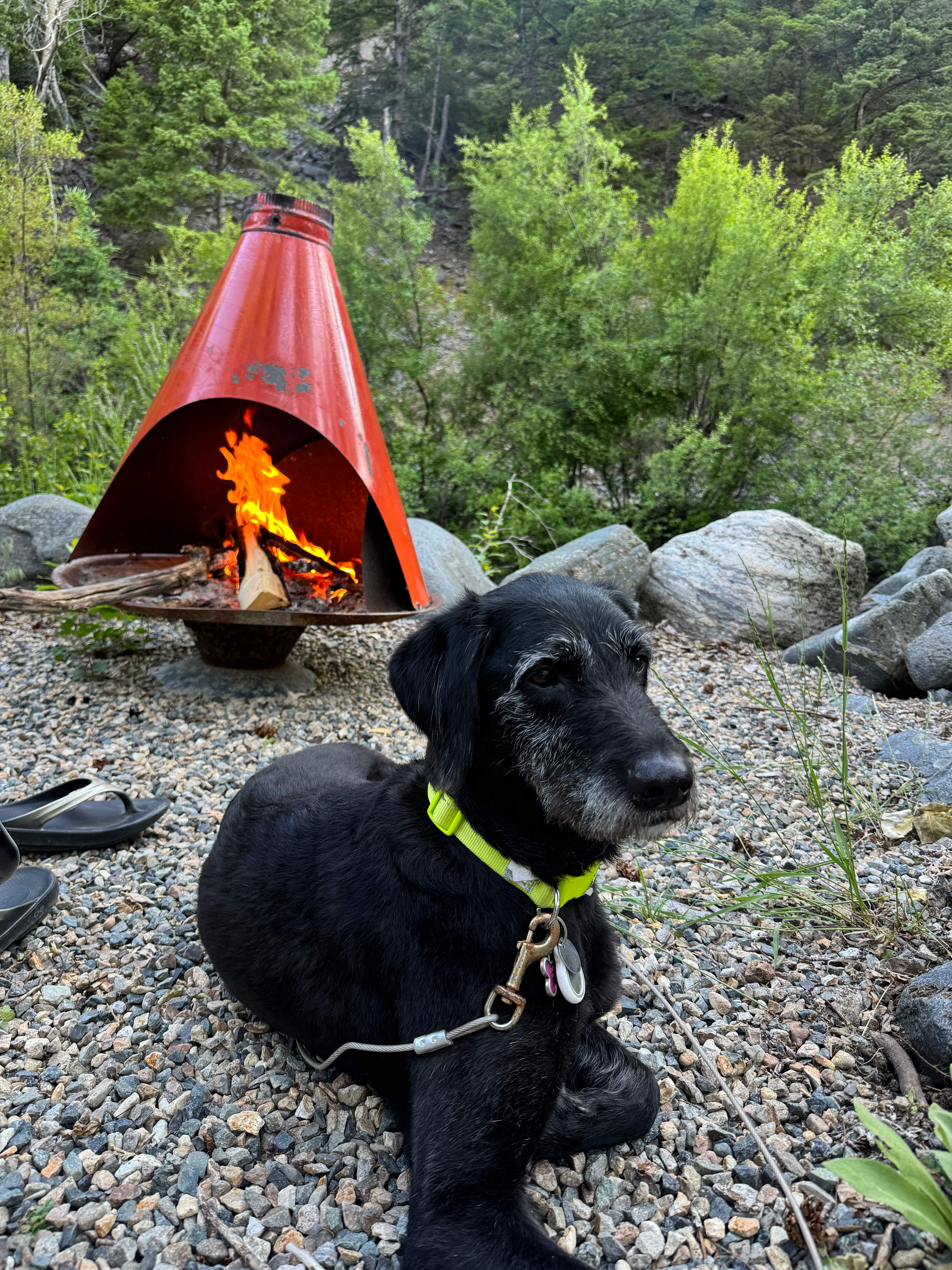 Yellowstone City Guest Ranch