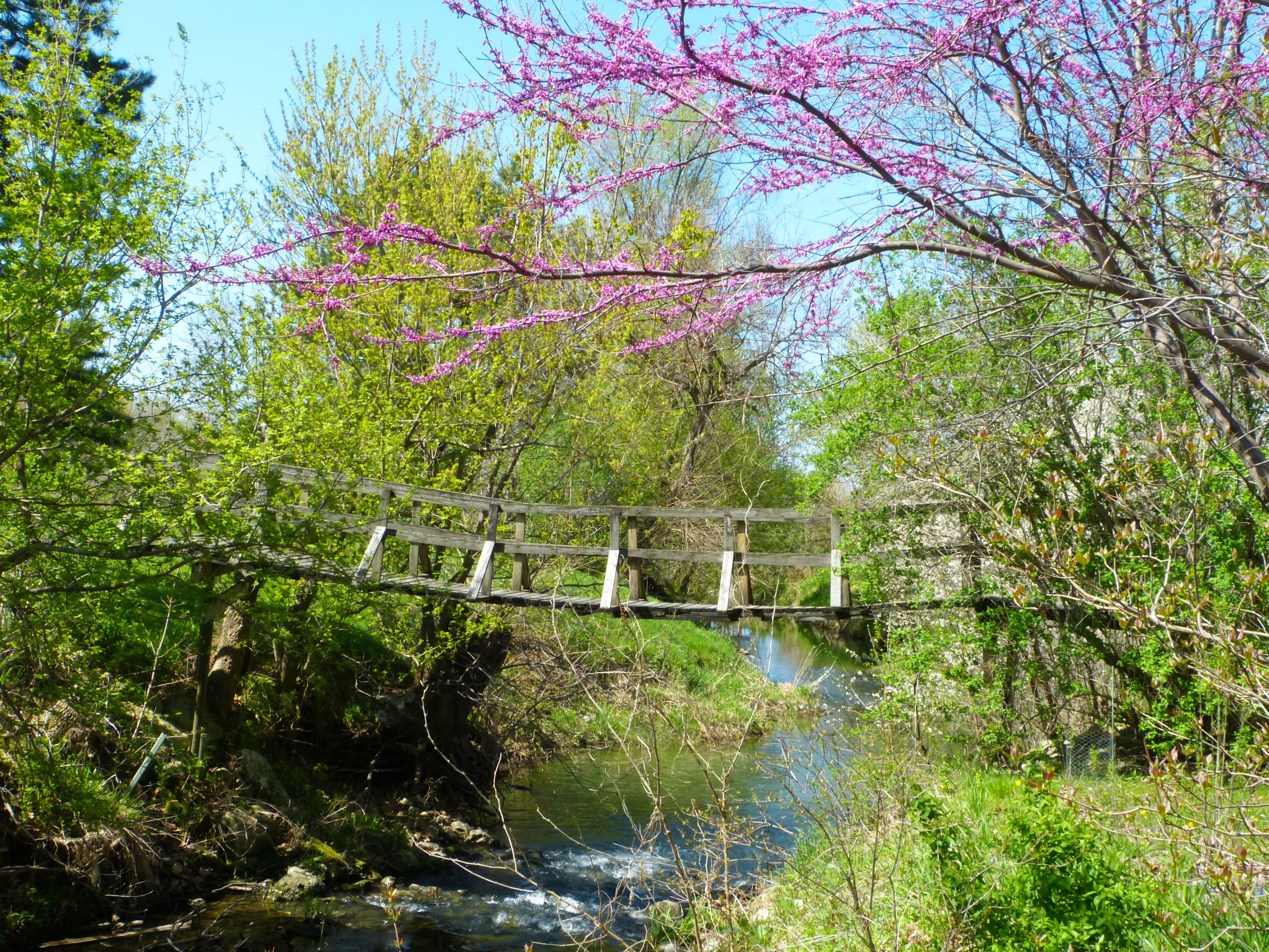Ramsey Creek Natural Area
