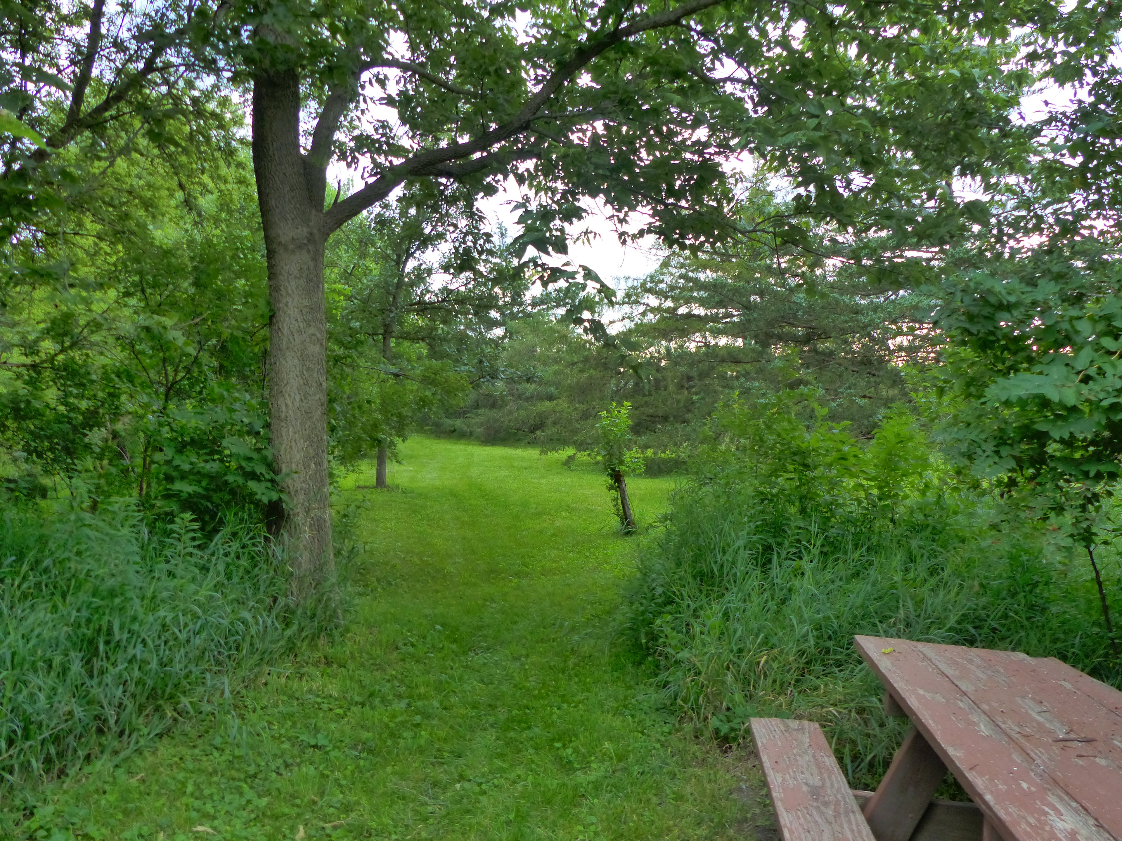 Ramsey Creek Natural Area