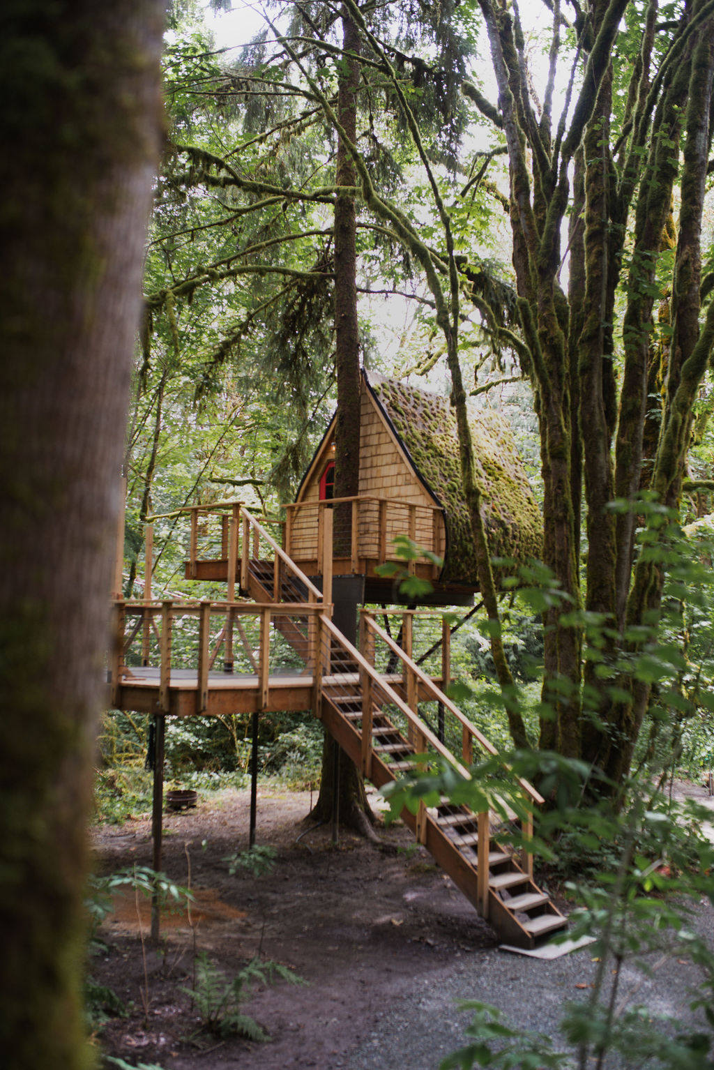 Samara Farm Treehouses