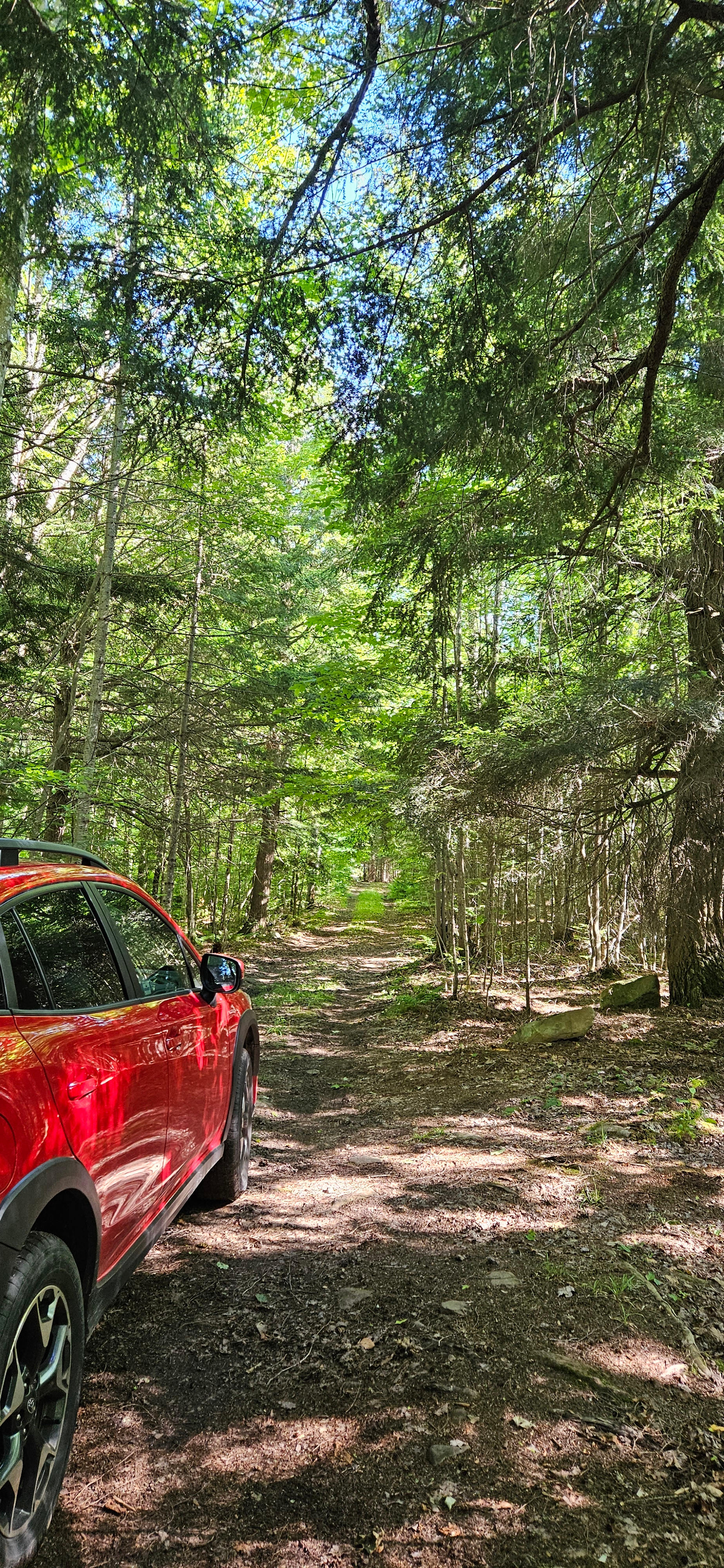 Wilderness Haven near Marquette Mi