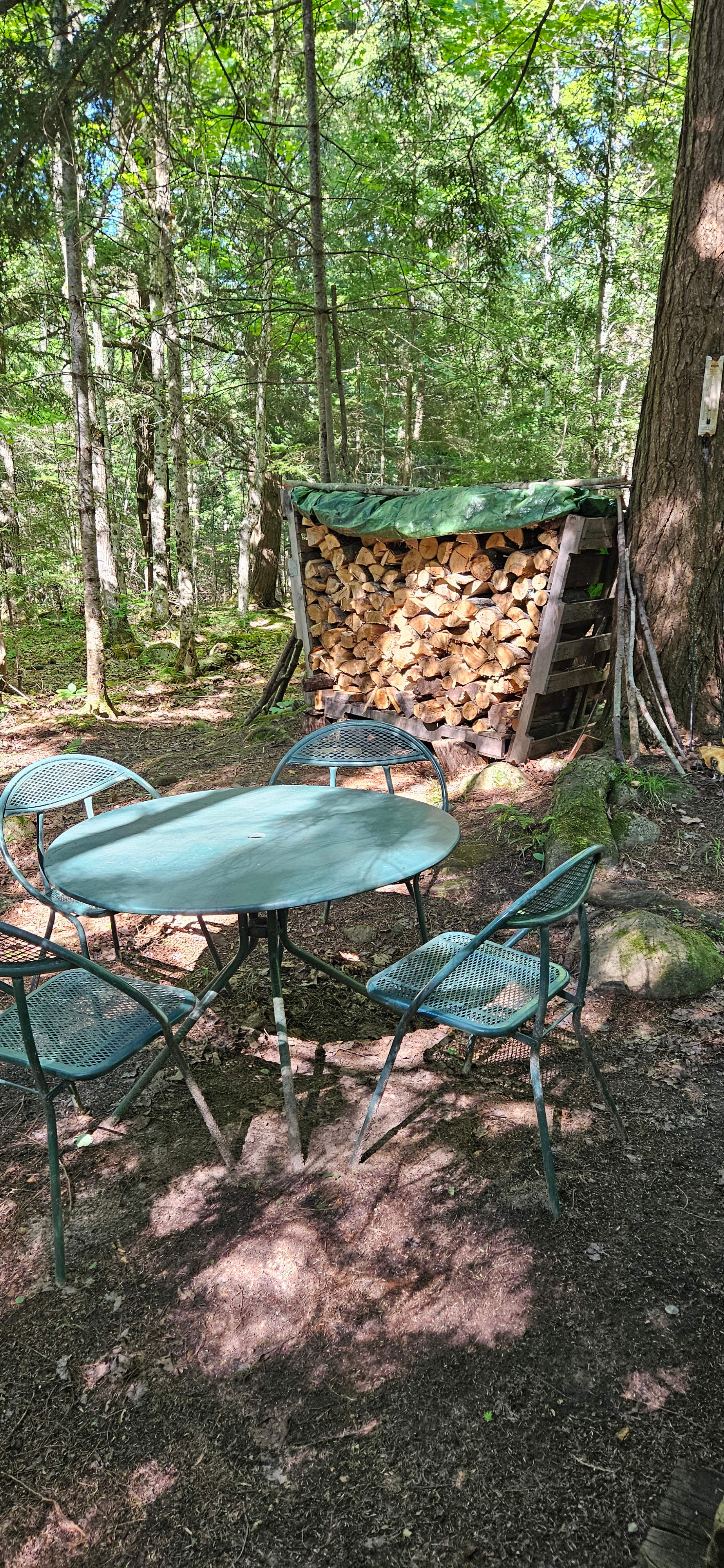 Wilderness Haven near Marquette Mi
