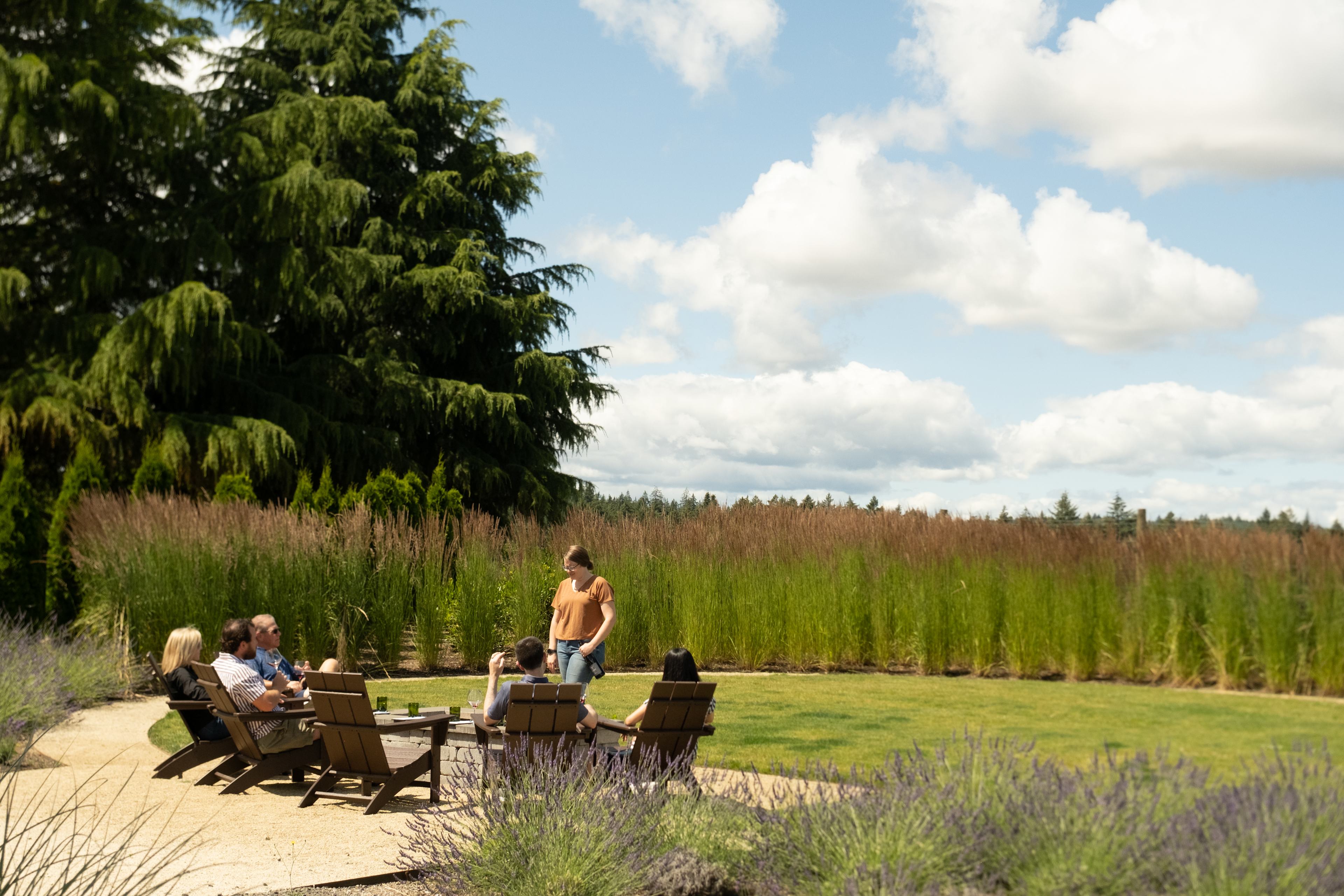 Good Vibes Wine Tour! 