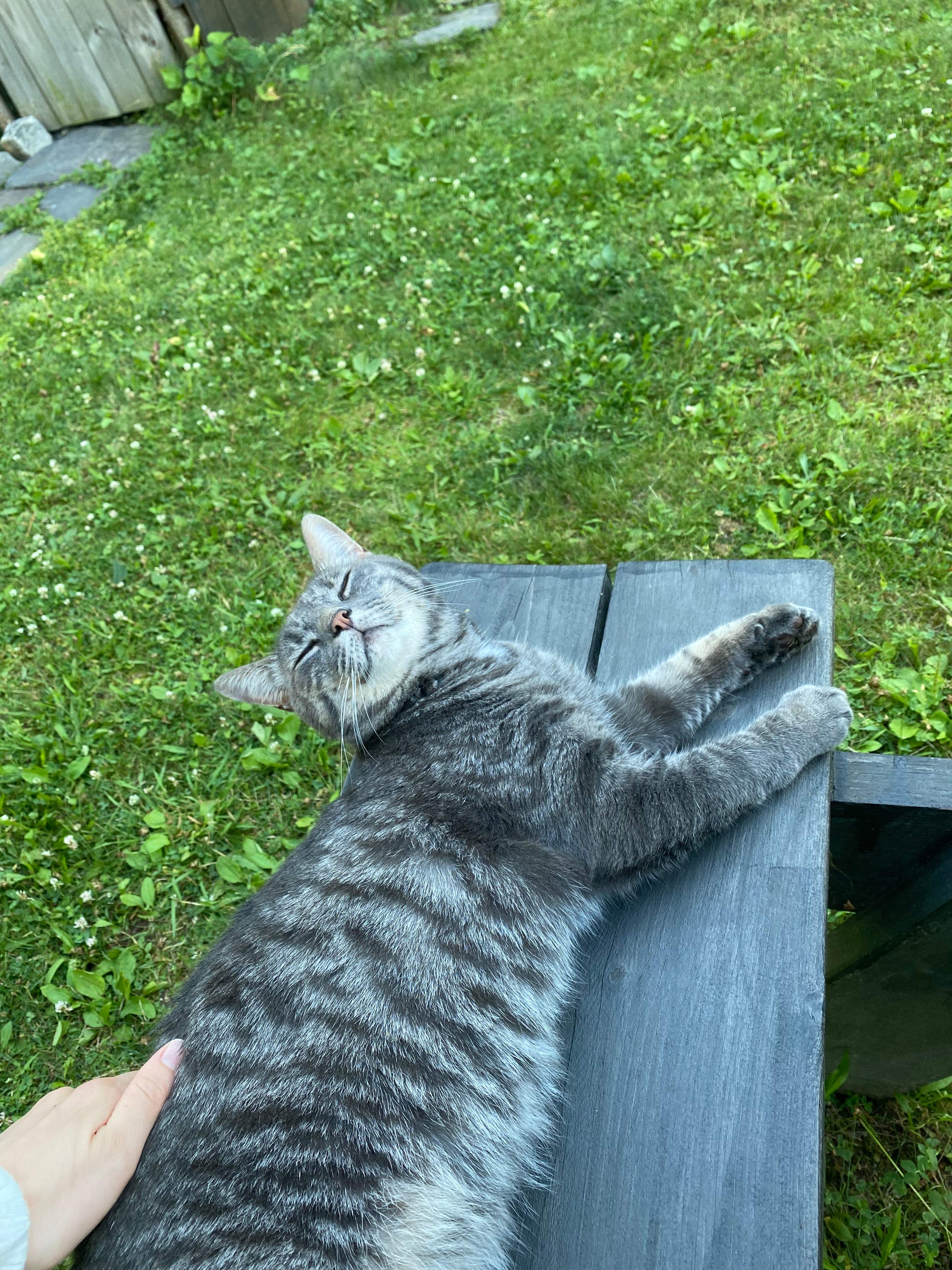 The Little Witch Cottage